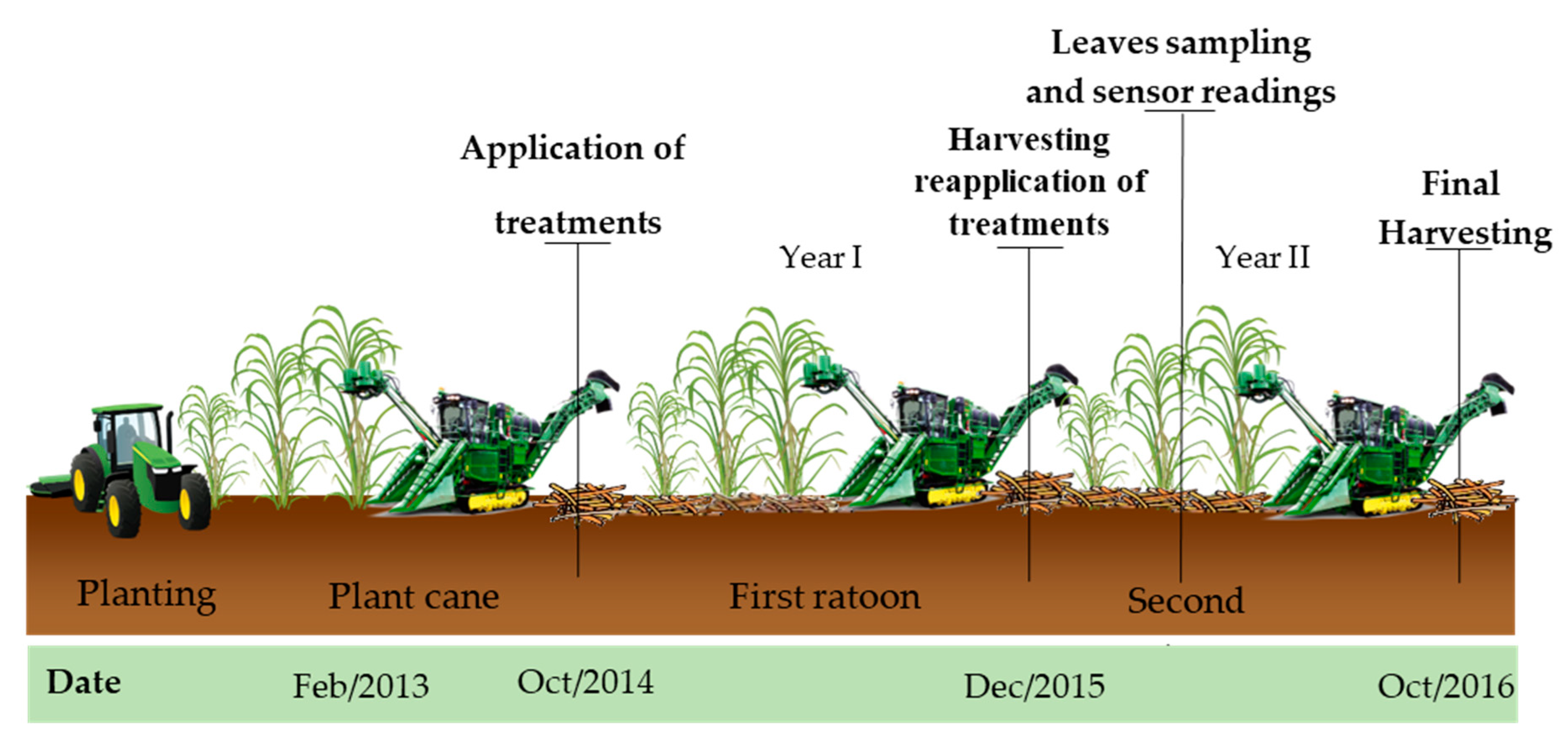 Agronomy 08 00196 g003 Agronomy 08 00196 g003