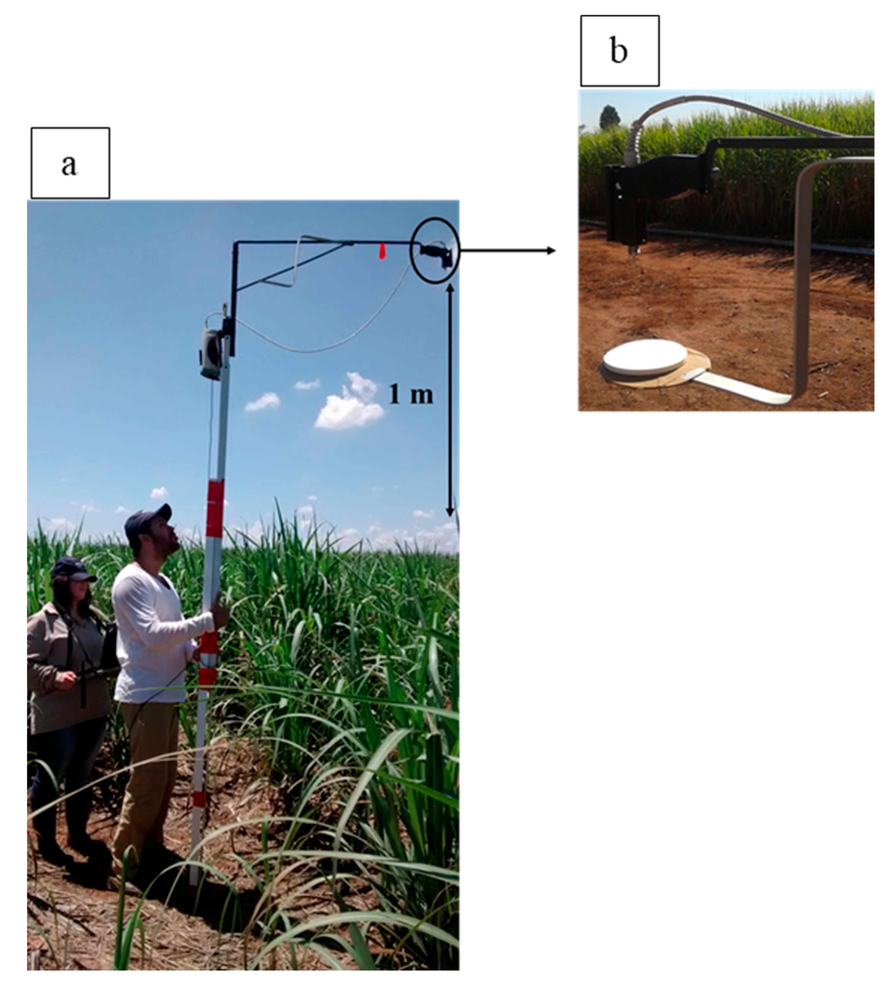 Agronomy 08 00196 g004 Agronomy 08 00196 g004