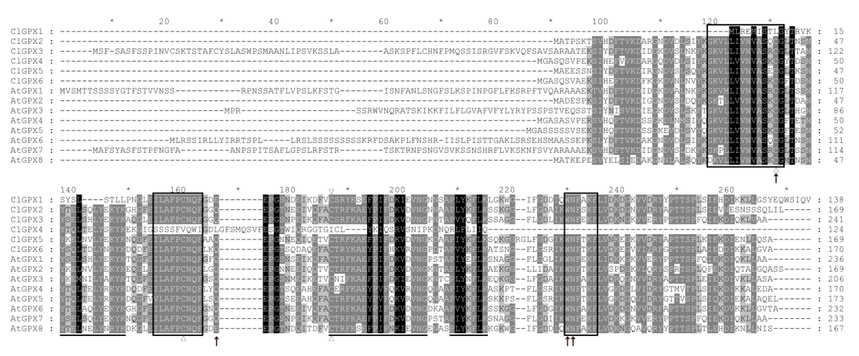 Agronomy 08 00206 g001
