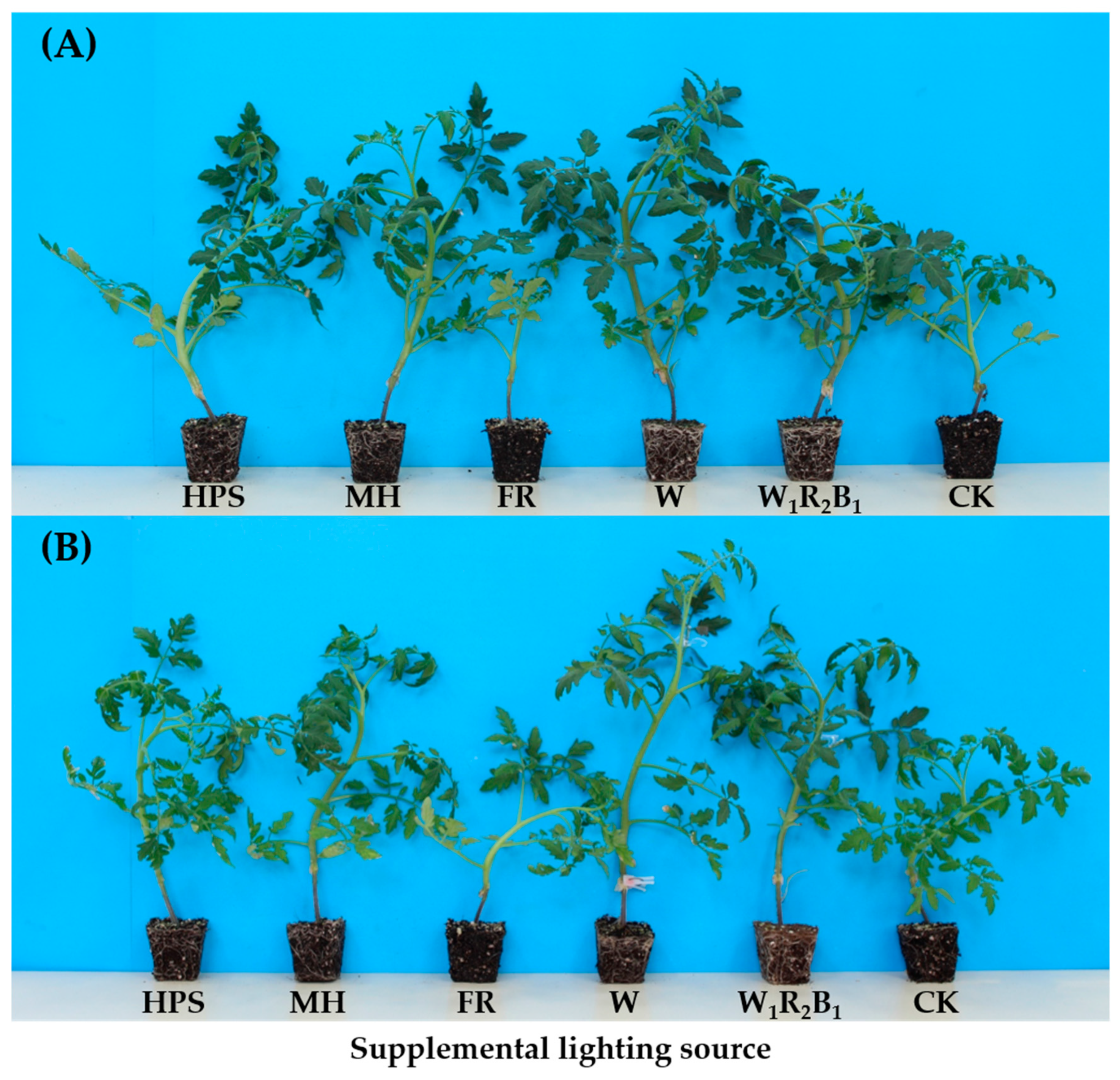 Agronomy 08 00207 g003