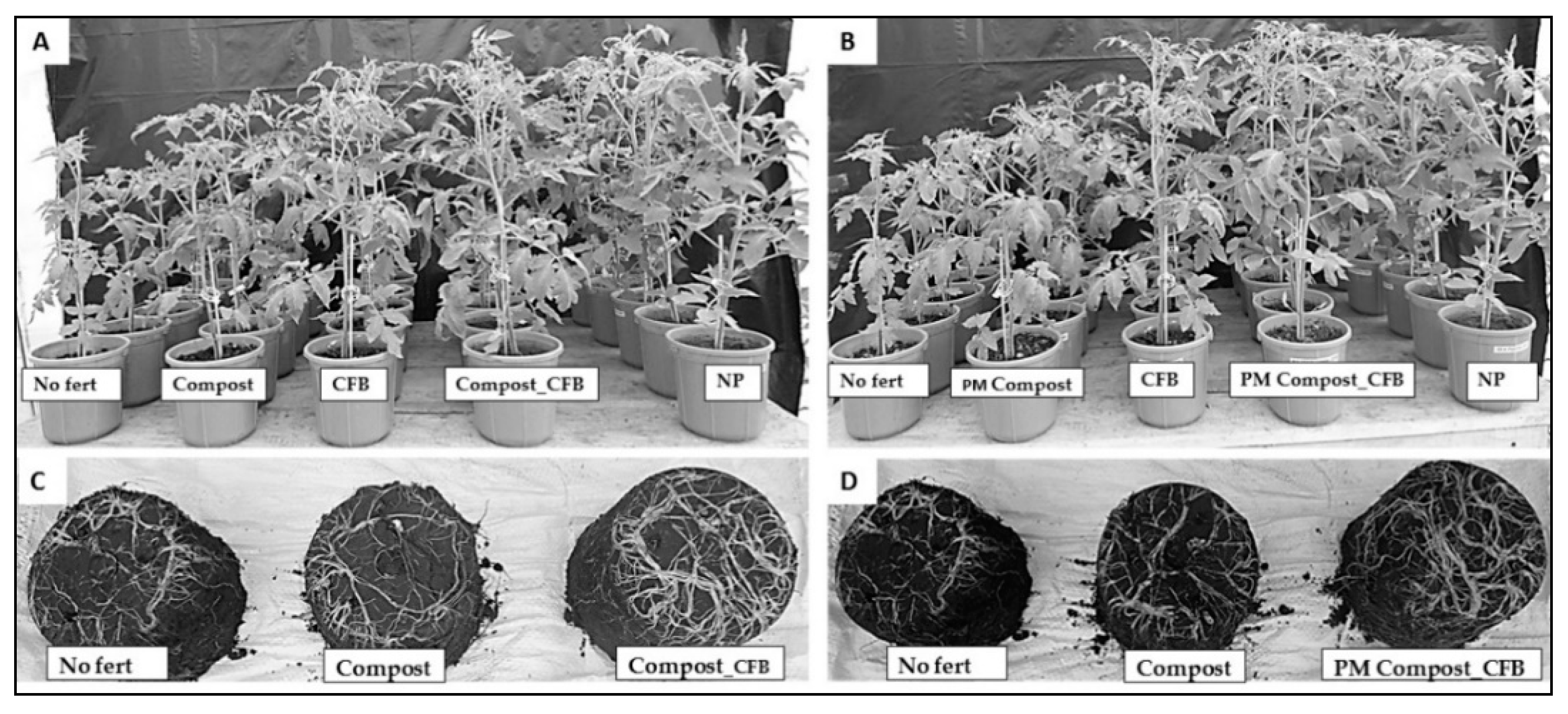 Agronomy 08 00213 g001