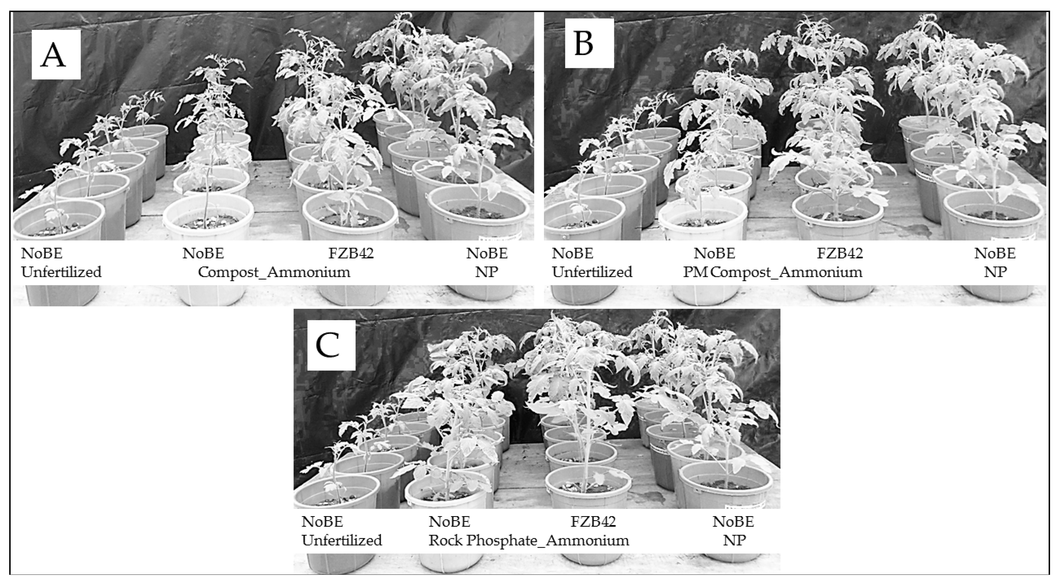 Agronomy 08 00213 g005