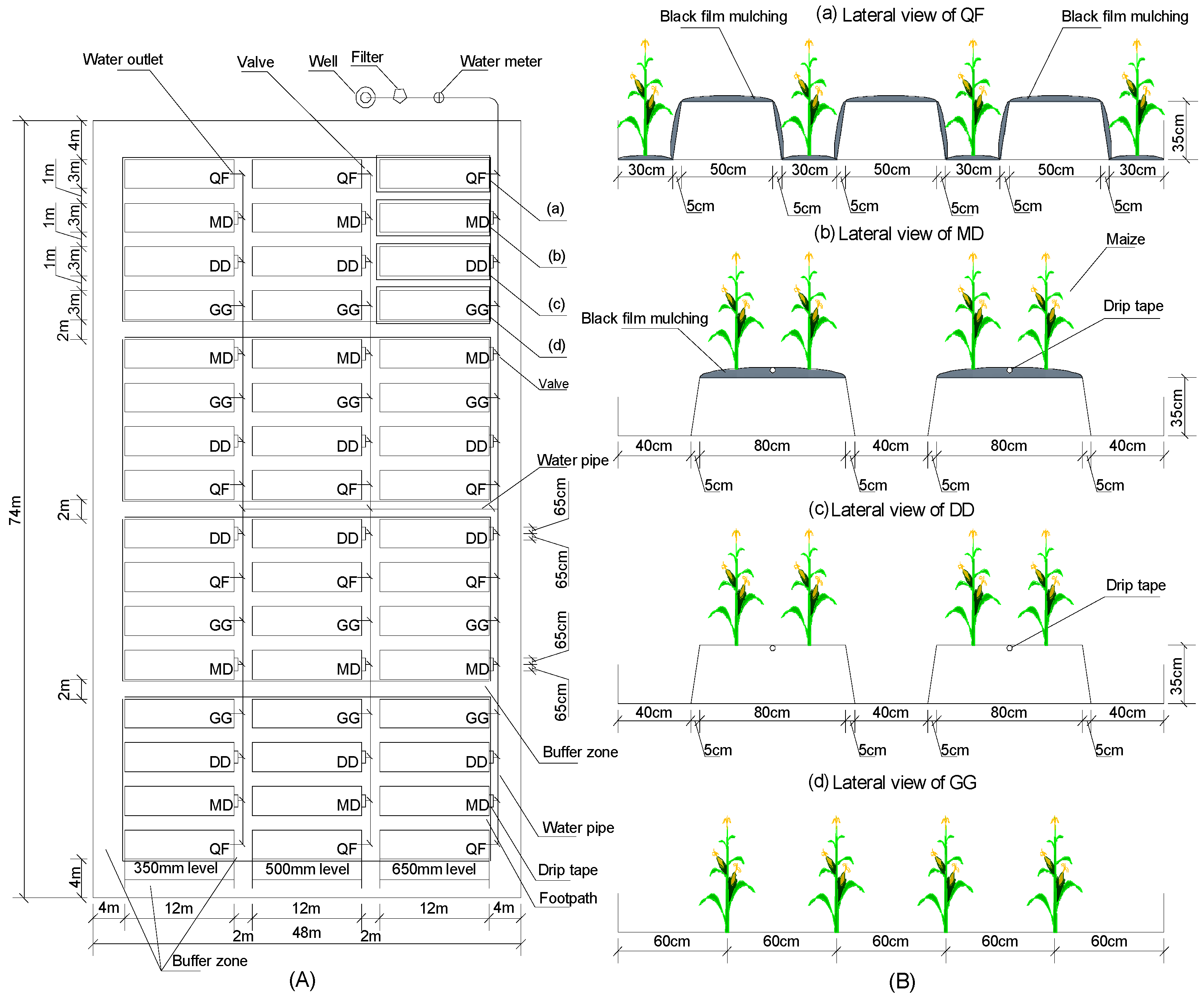 Agronomy 08 00221 g002