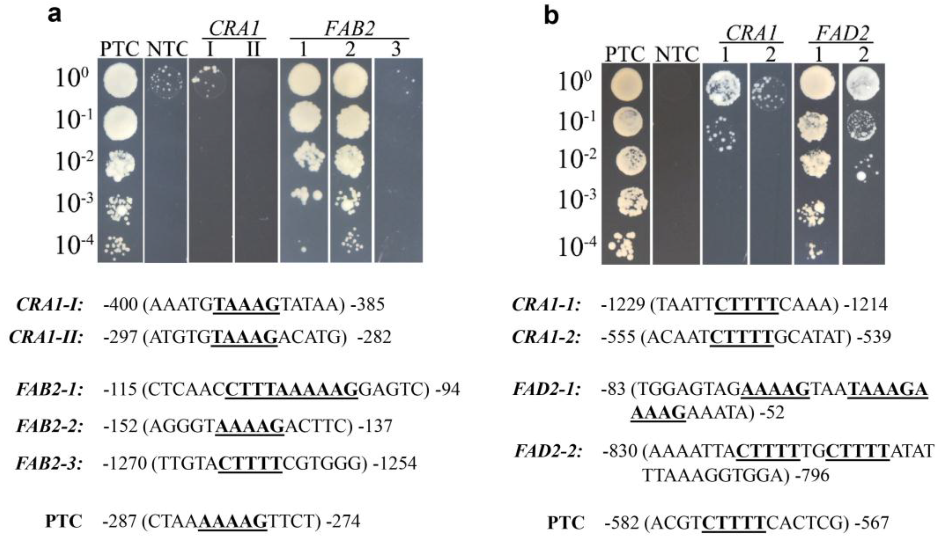 Agronomy 08 00222 g005 Agronomy 08 00222 g005
