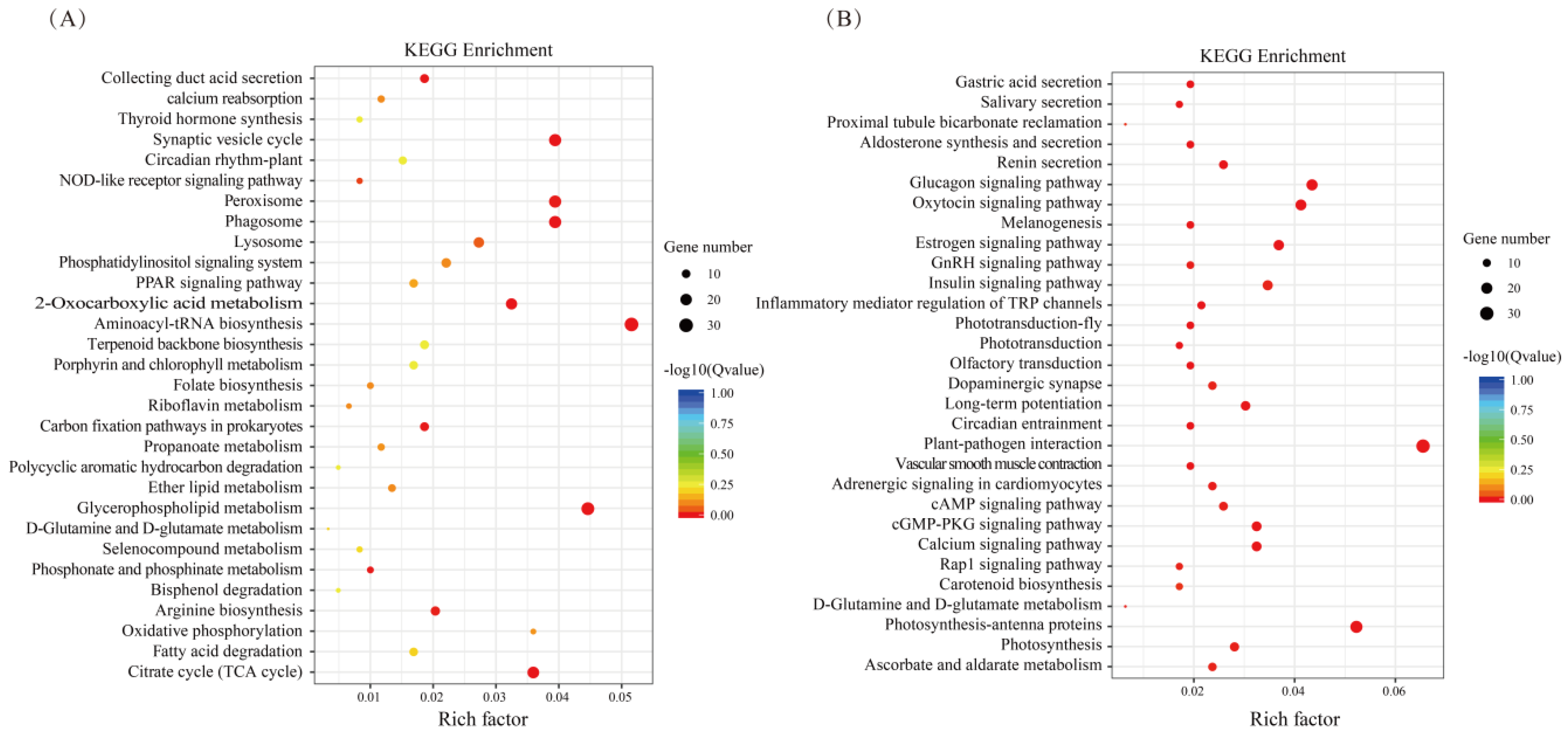 Agronomy 08 00247 g004 Agronomy 08 00247 g004