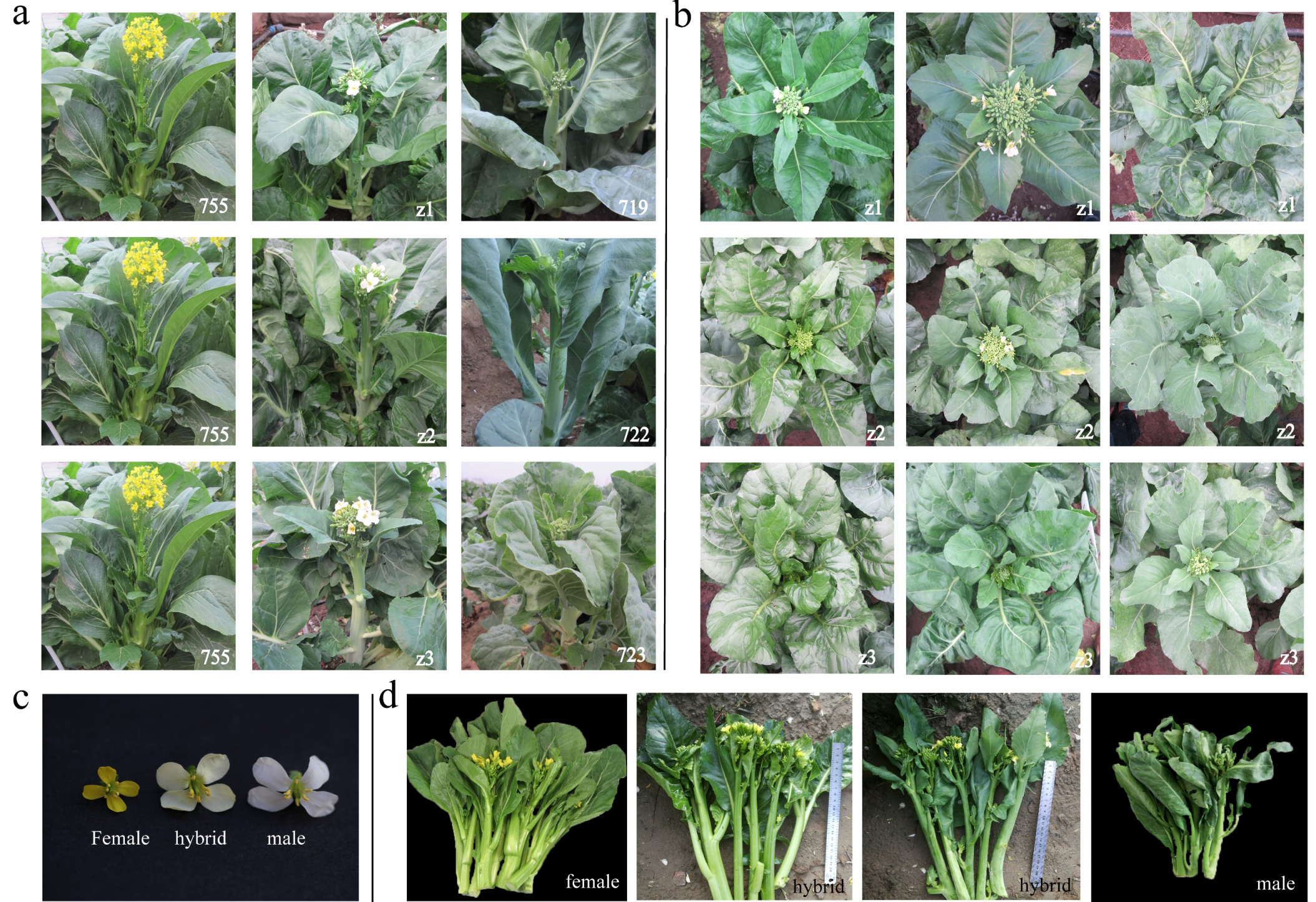 Agronomy 08 00258 g002 Agronomy 08 00258 g002