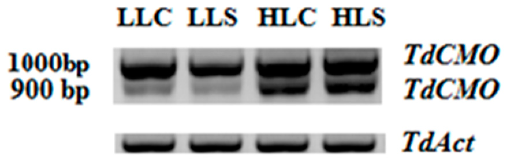 Agronomy 08 00270 g001