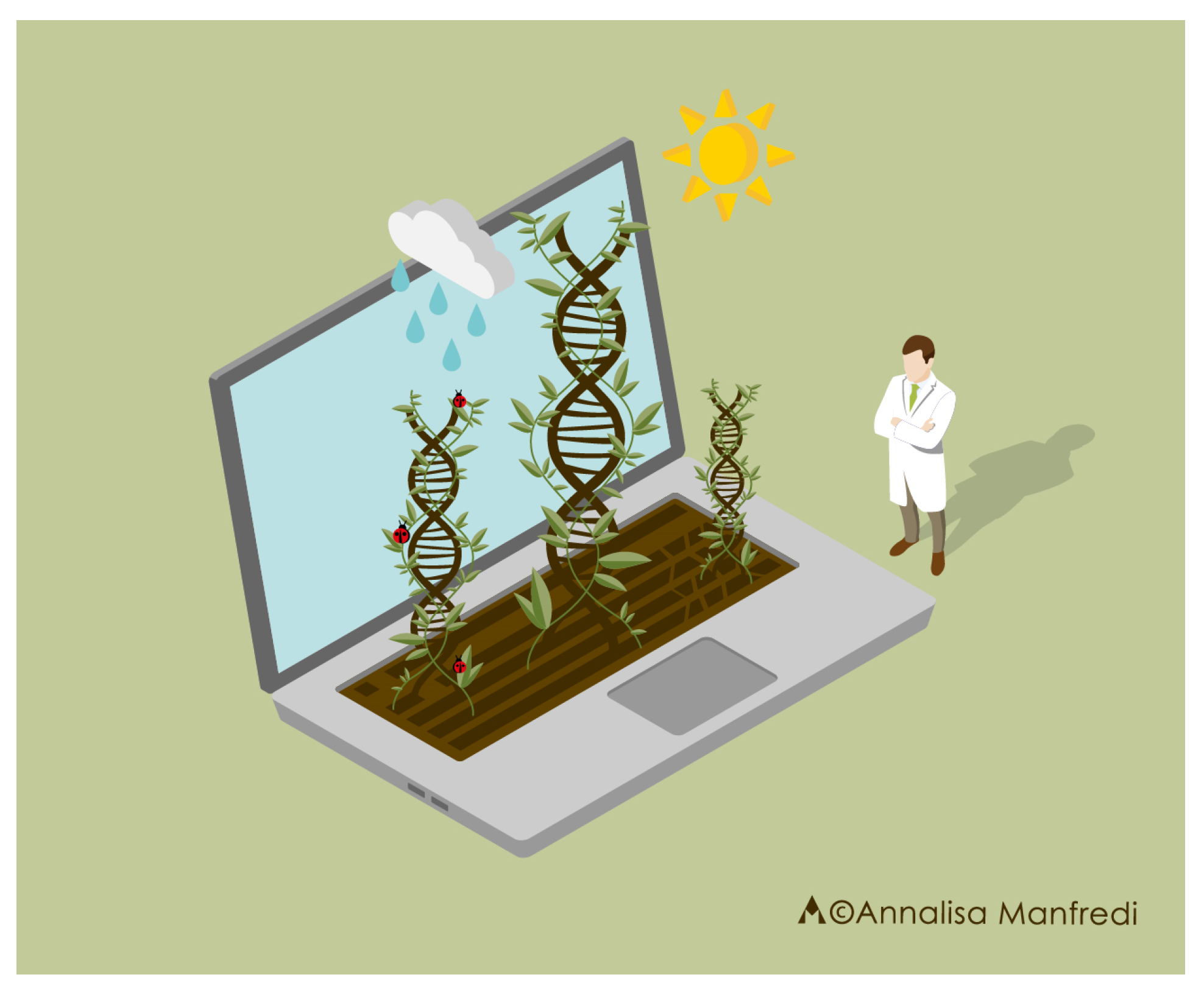 Frontiers  Breeding for Climate Change Resilience: A Case Study