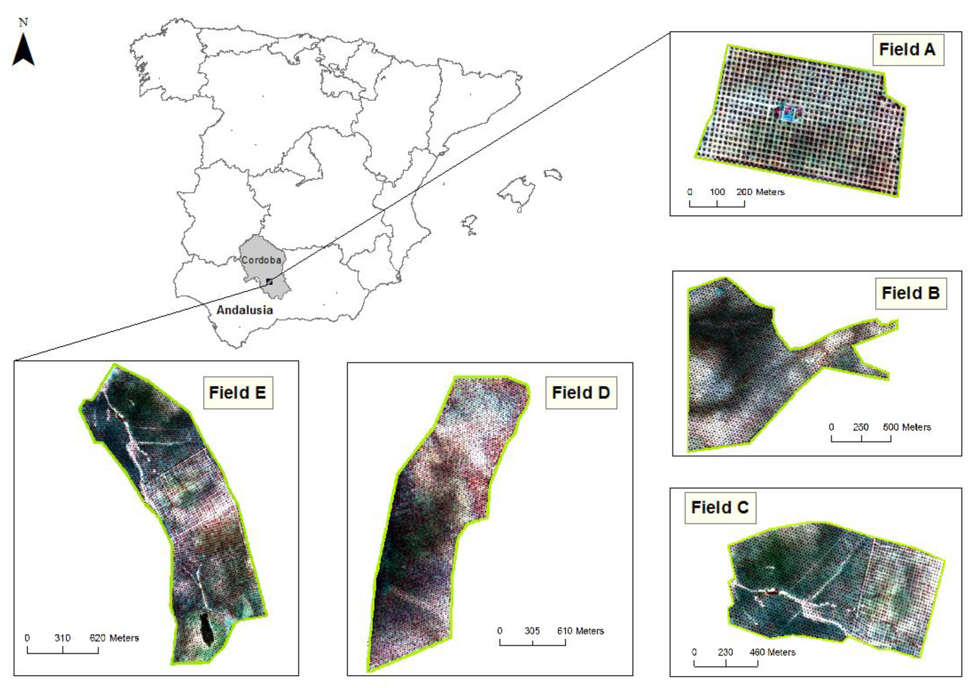 Agronomy 08 00288 g001
