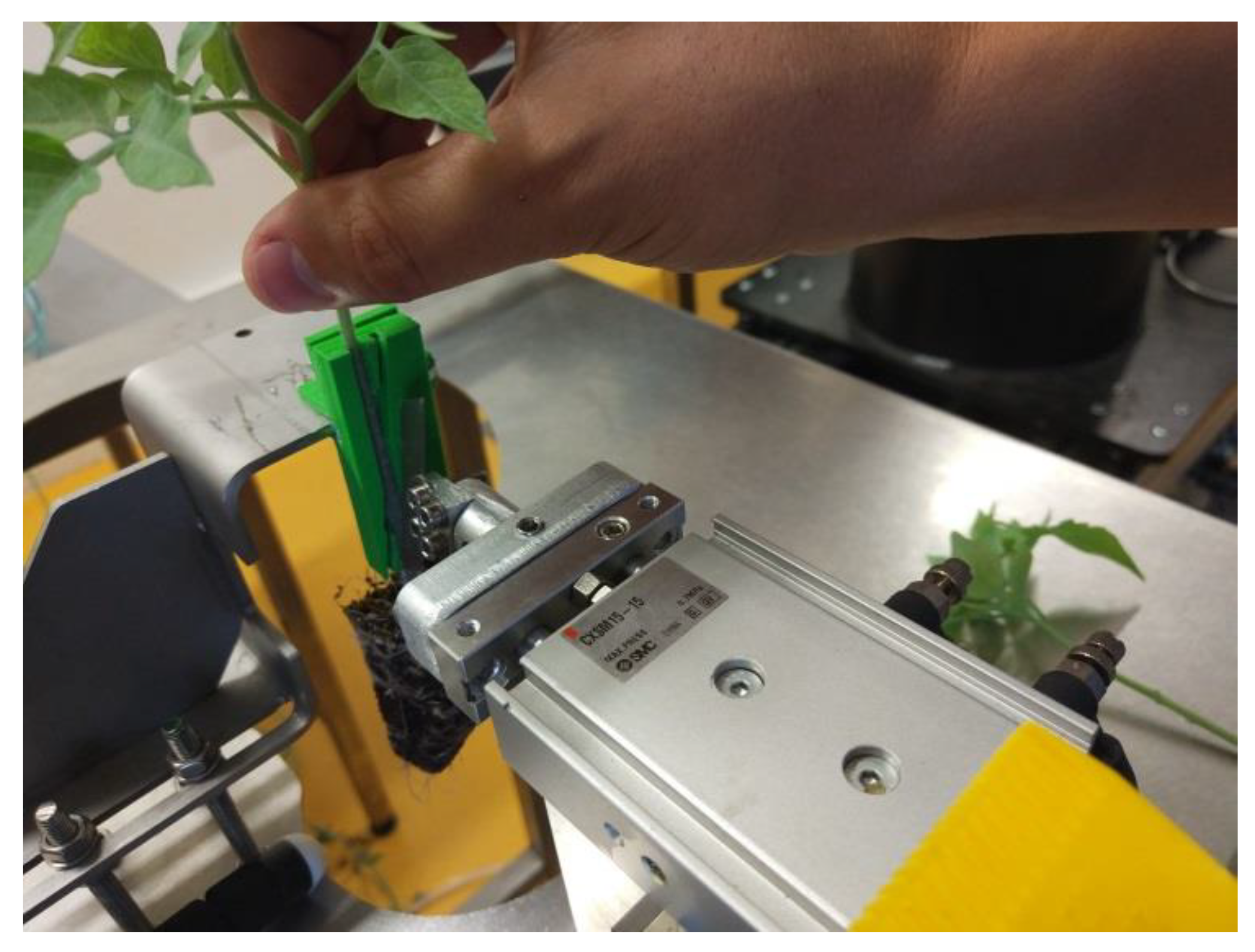 Agronomy 09 00005 g002