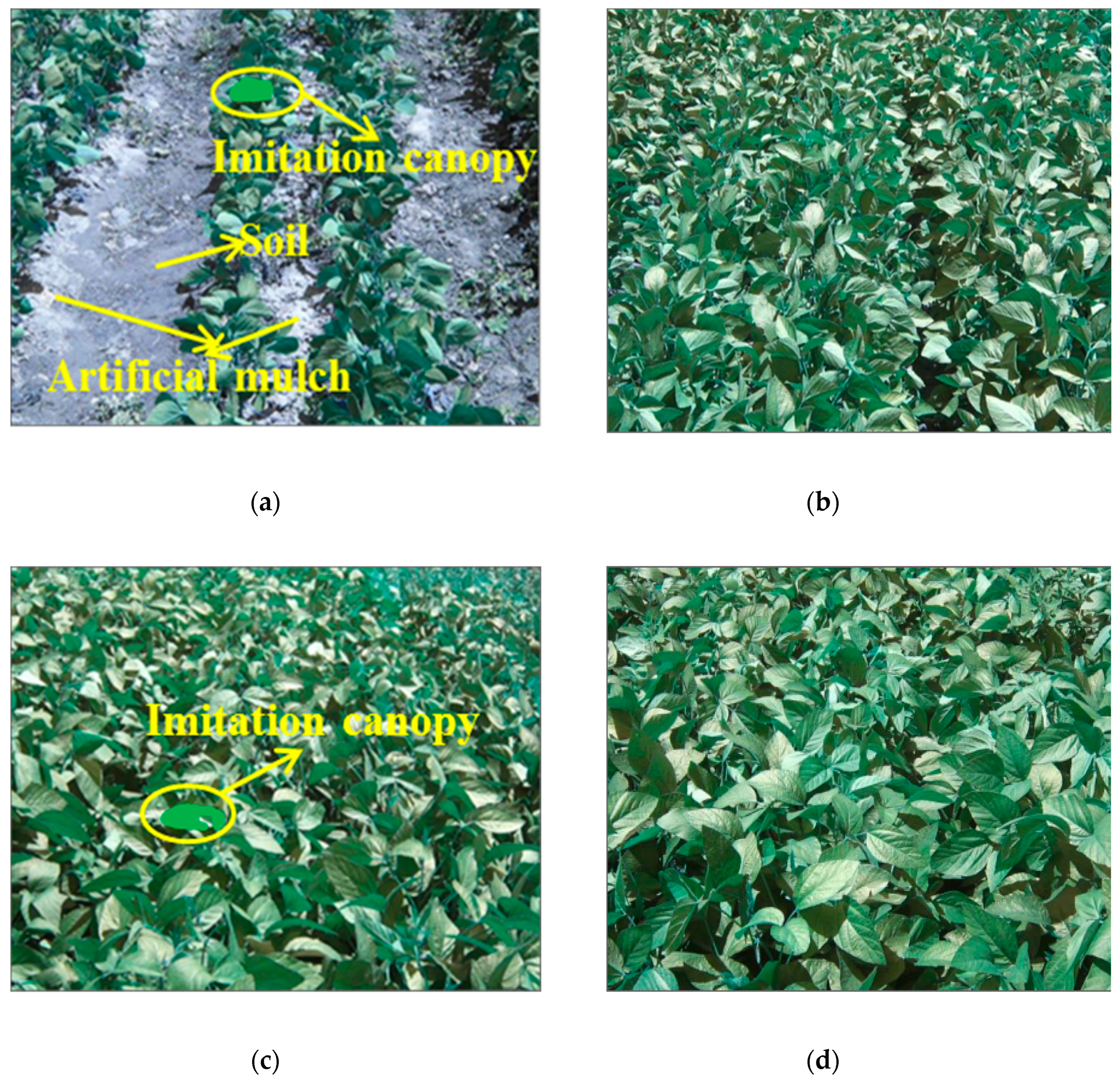 Agronomy 09 00008 g003