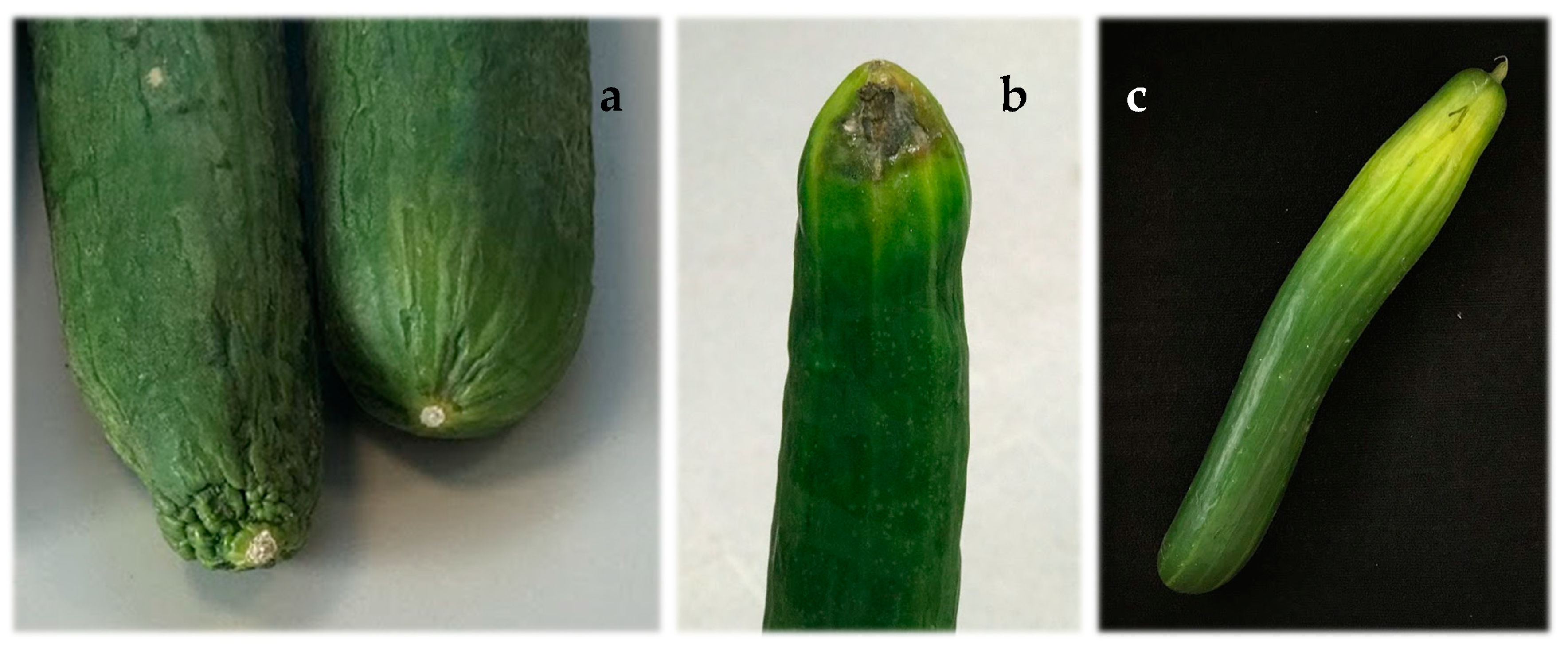 Agronomy 09 00017 g002 550