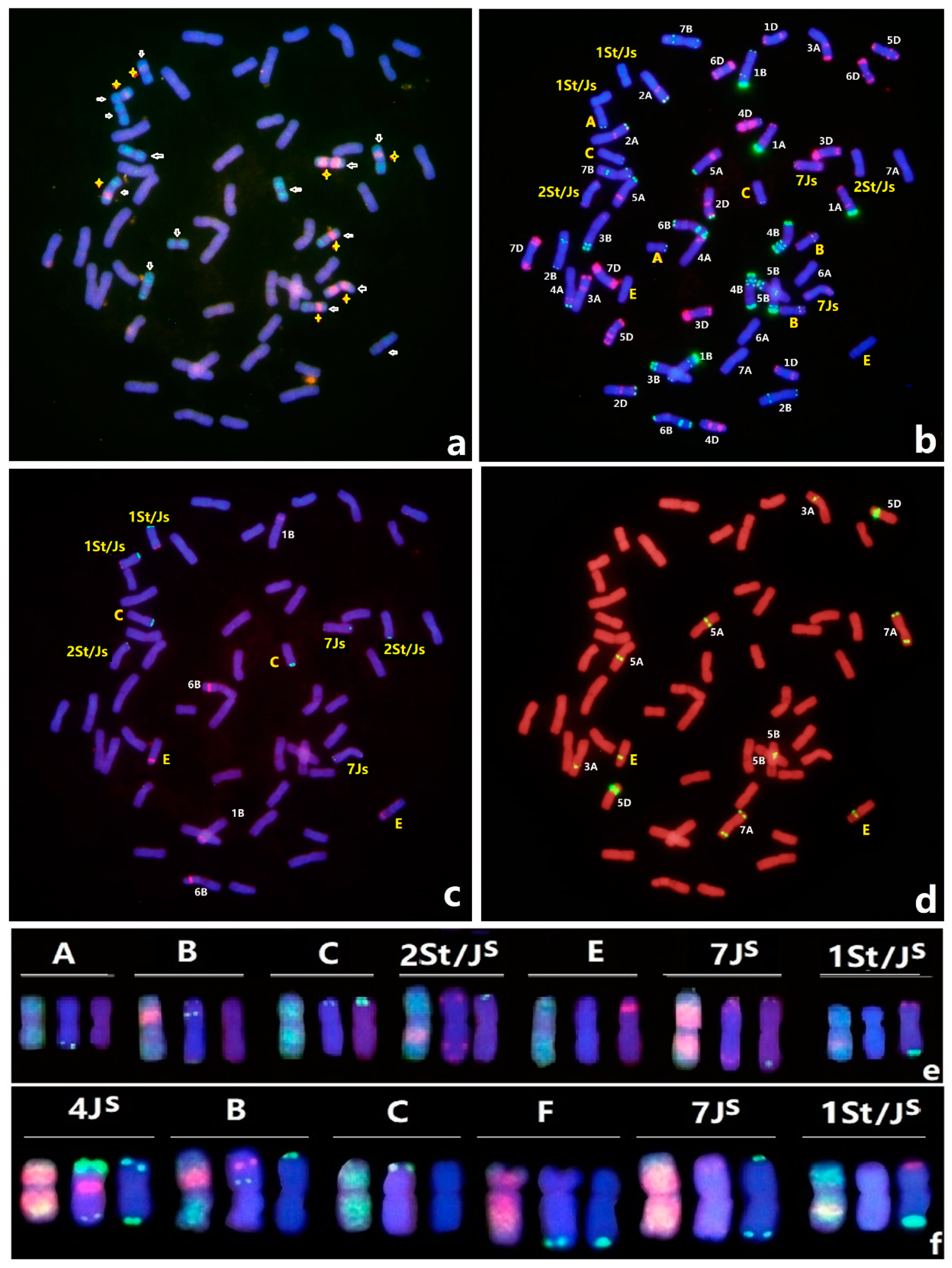 Agronomy 09 00018 g002 Agronomy 09 00018 g002