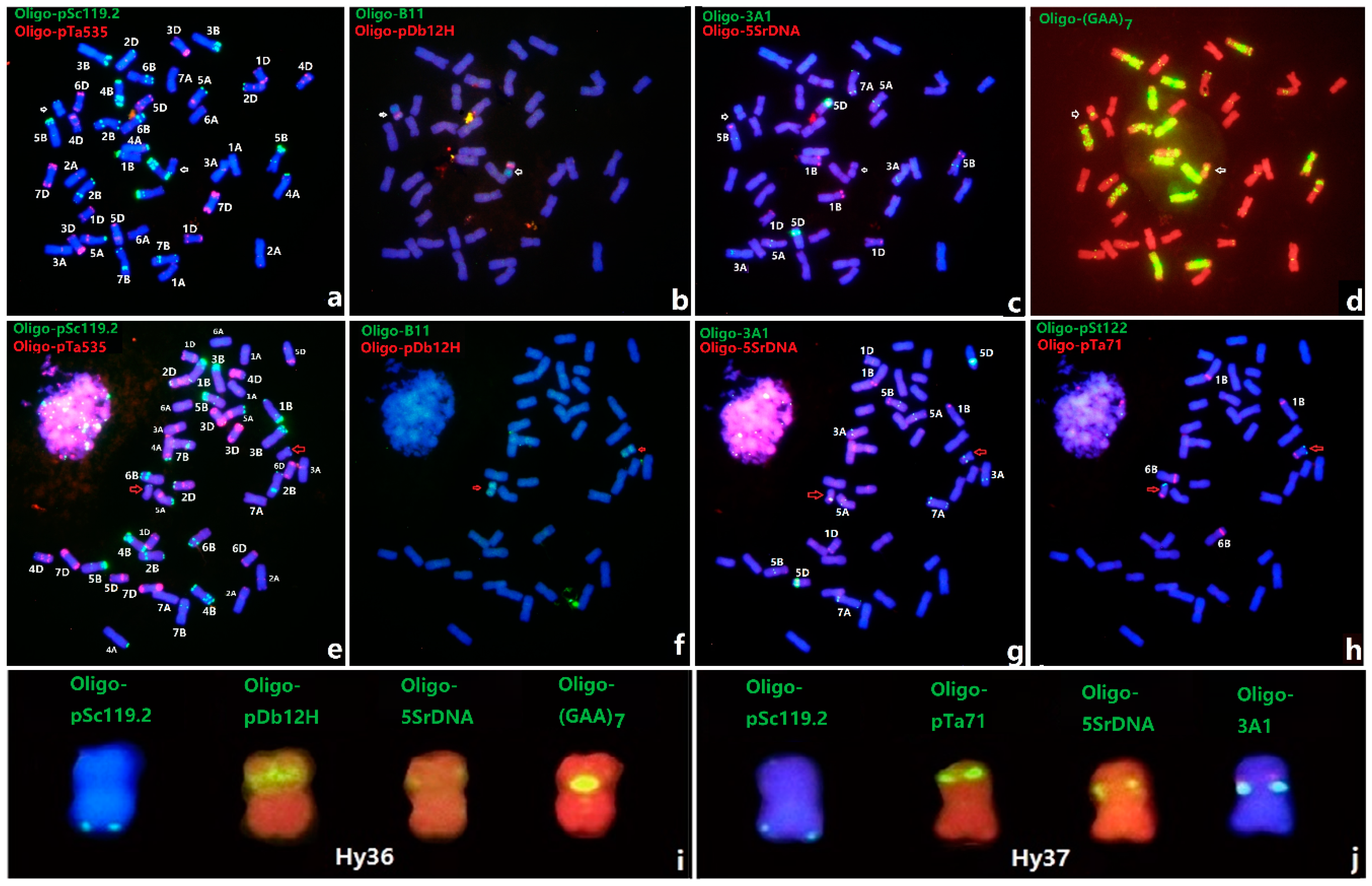 Agronomy 09 00018 g003 Agronomy 09 00018 g003