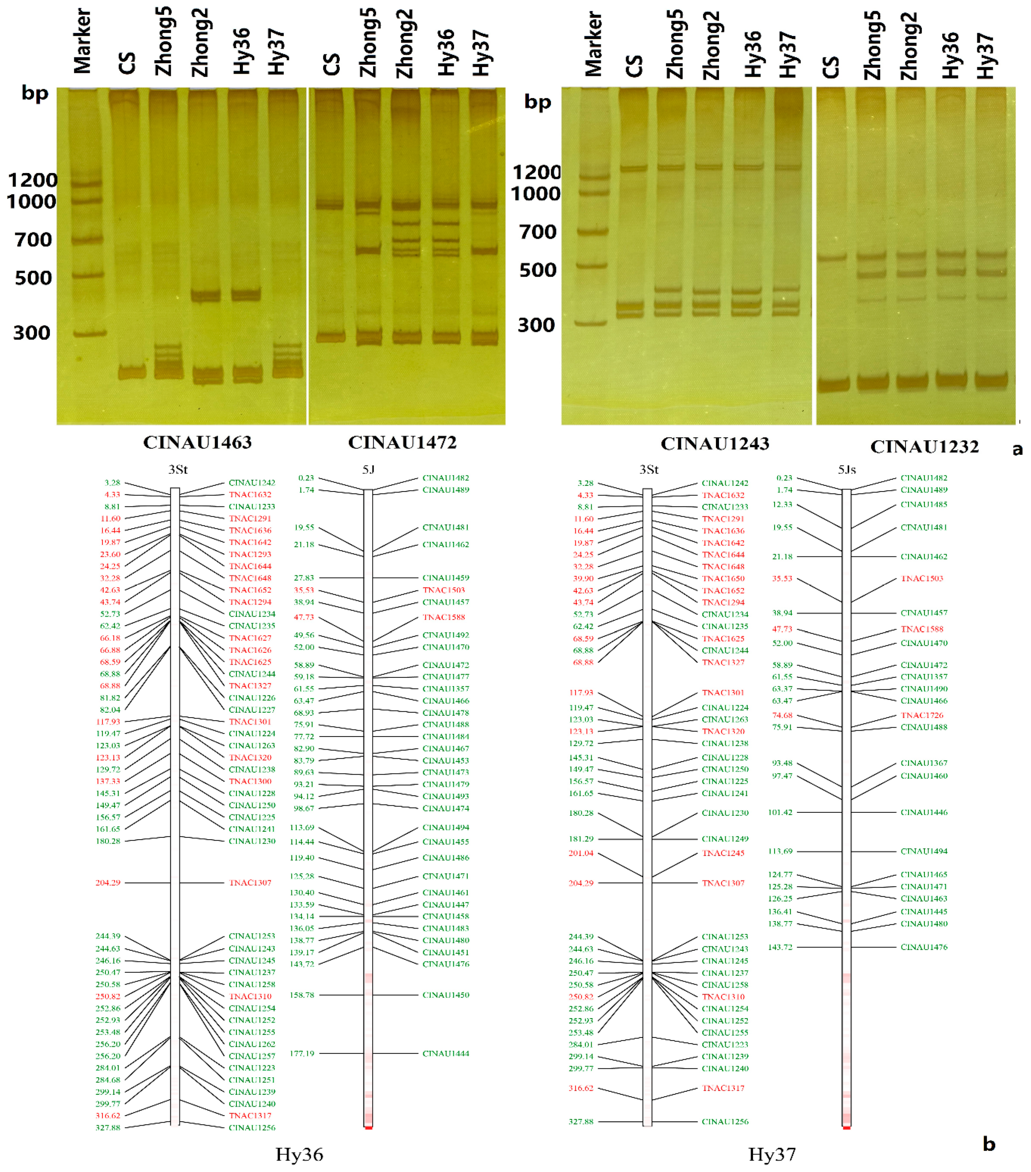 Agronomy 09 00018 g004 Agronomy 09 00018 g004