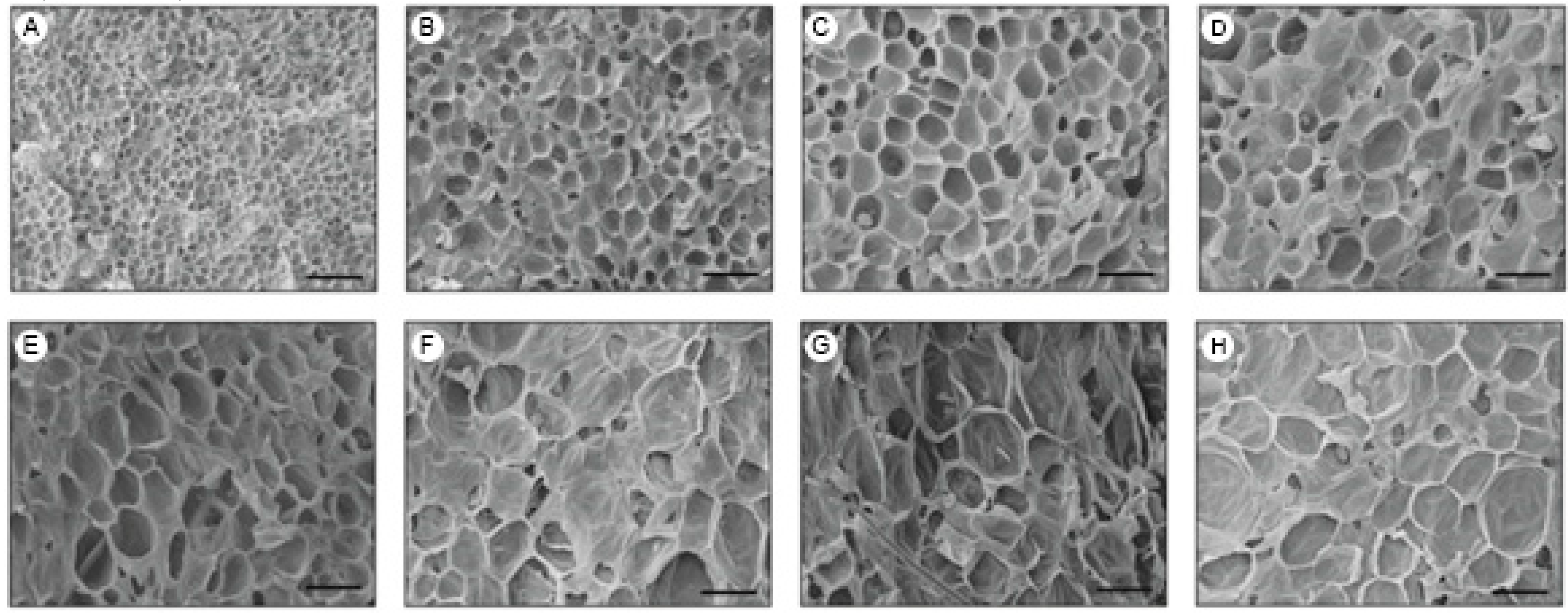 Agronomy 09 00020 g001
