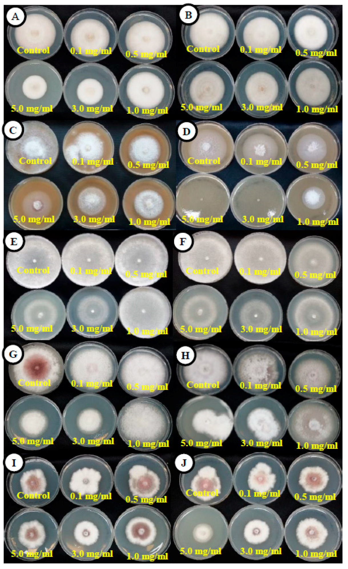 Agronomy 09 00021 g005