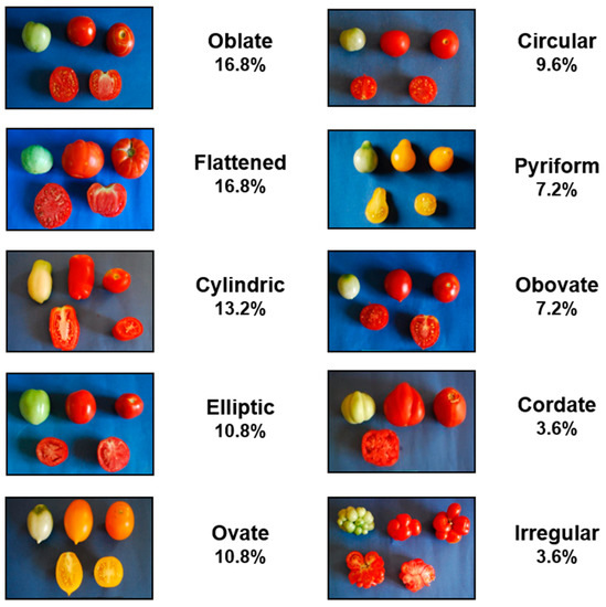Agronomy Special Issue and Genomics of Tomato and Solanaceae