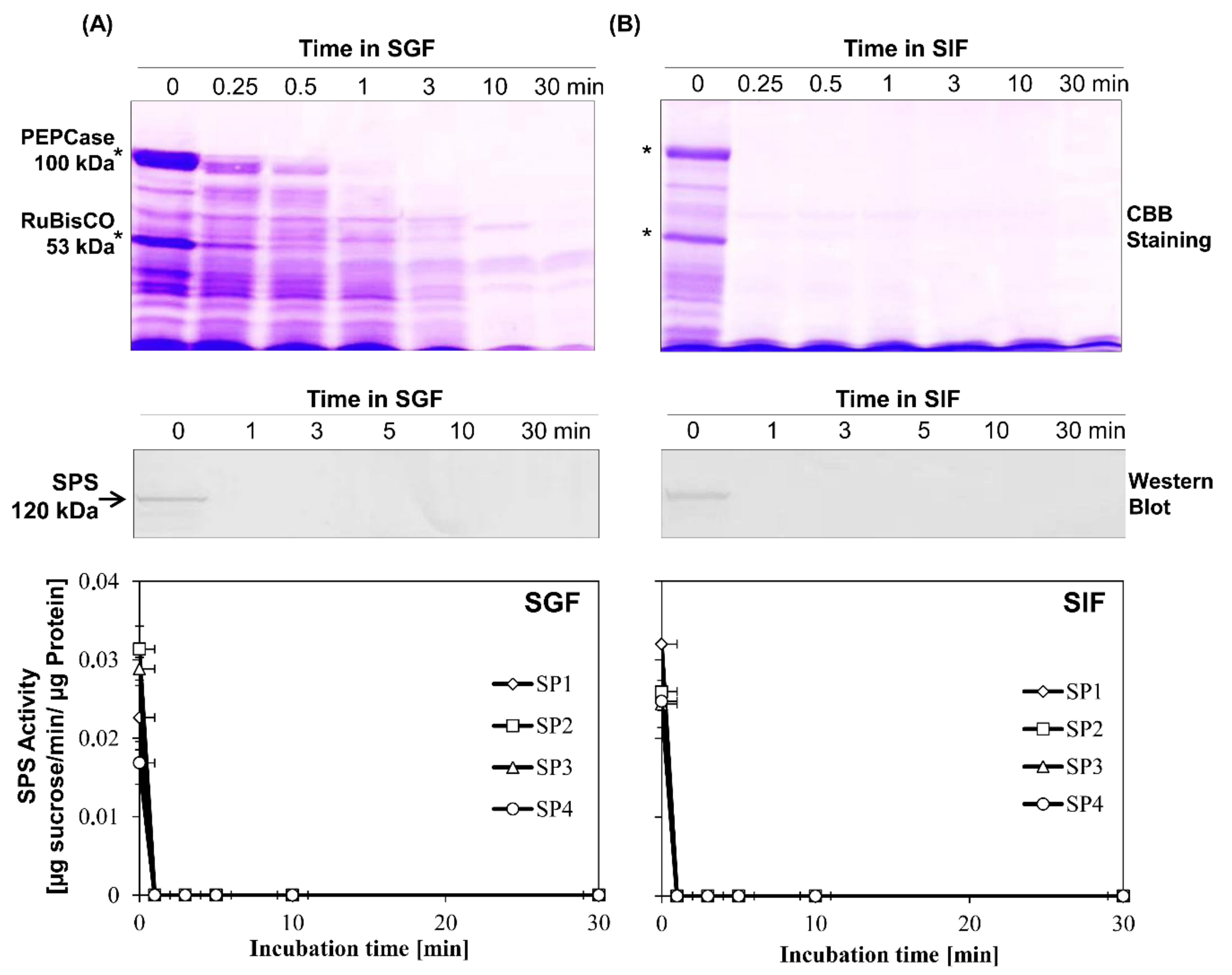 Agronomy 09 00023 g002 Agronomy 09 00023 g002