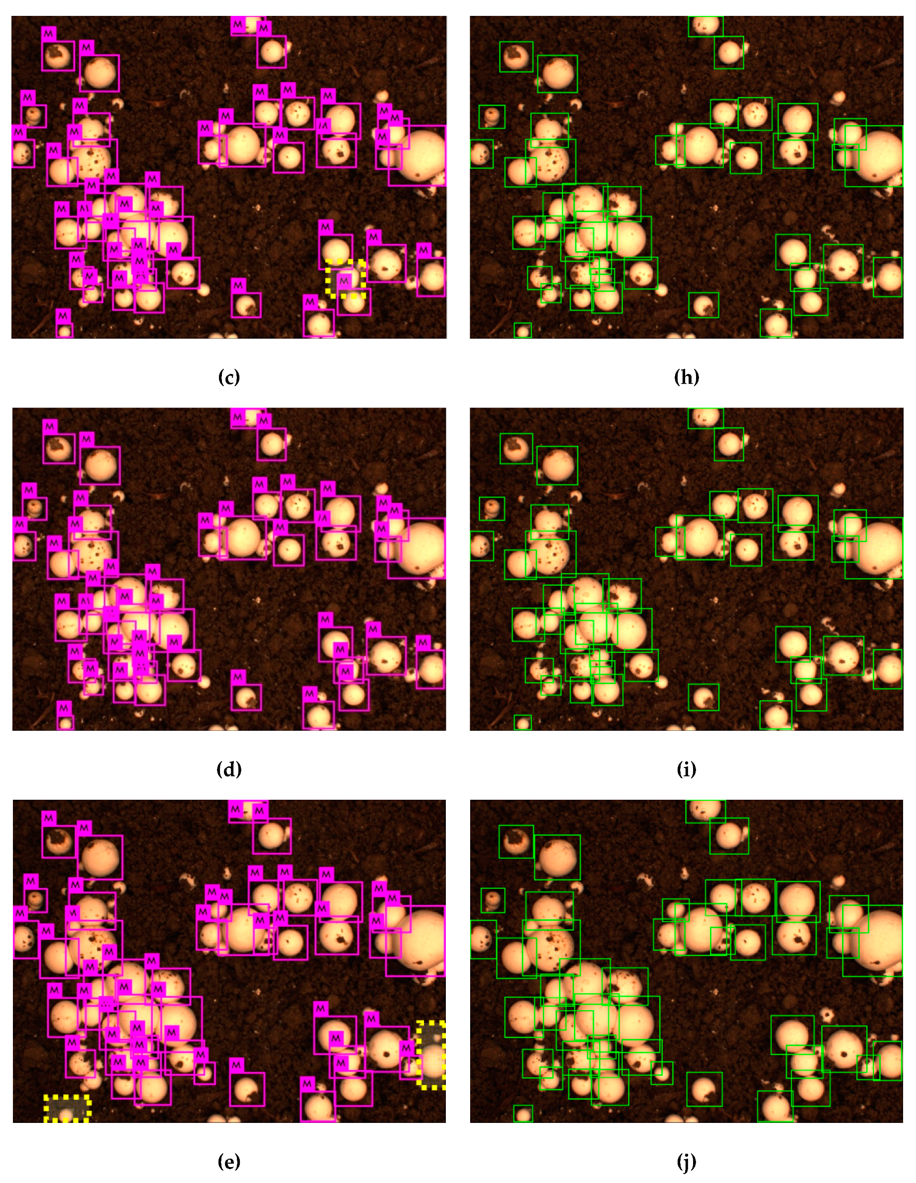 Agronomy 09 00032 g008b