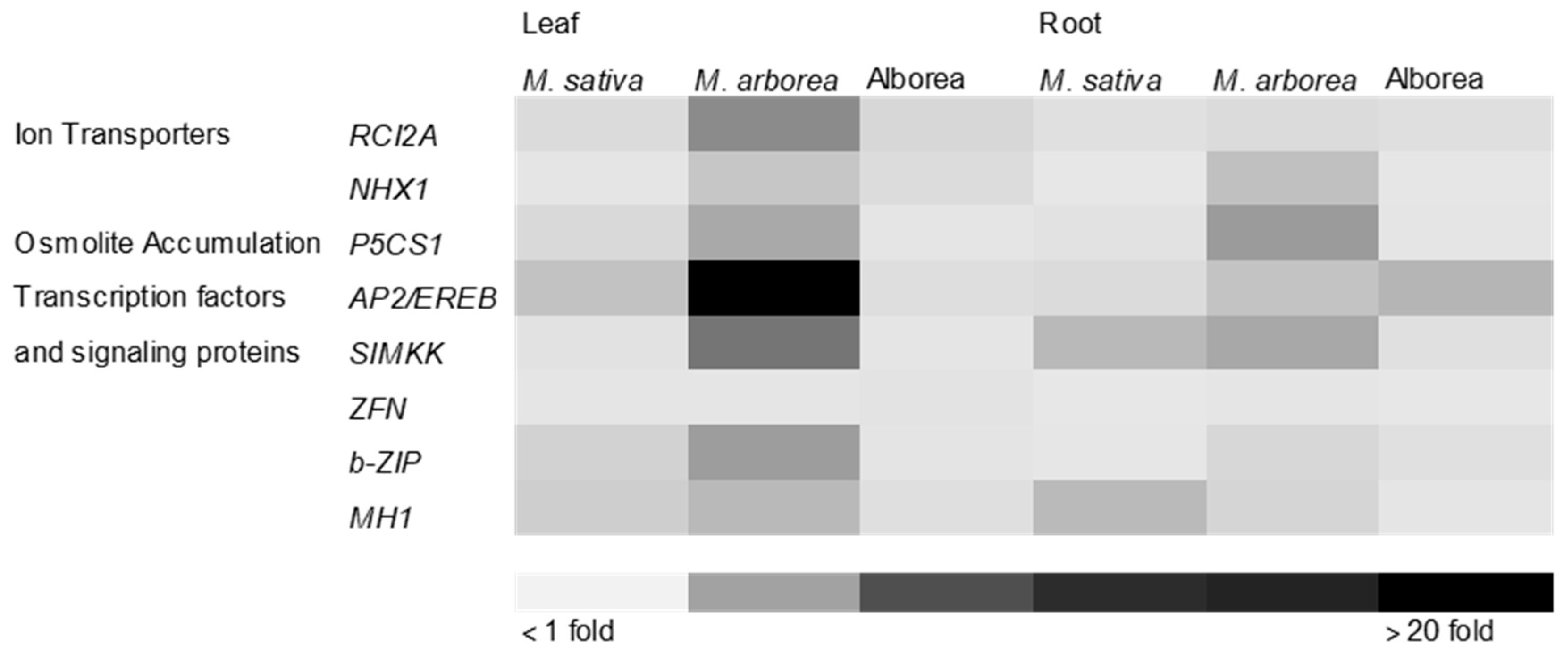 Agronomy 09 00038 g004 Agronomy 09 00038 g004