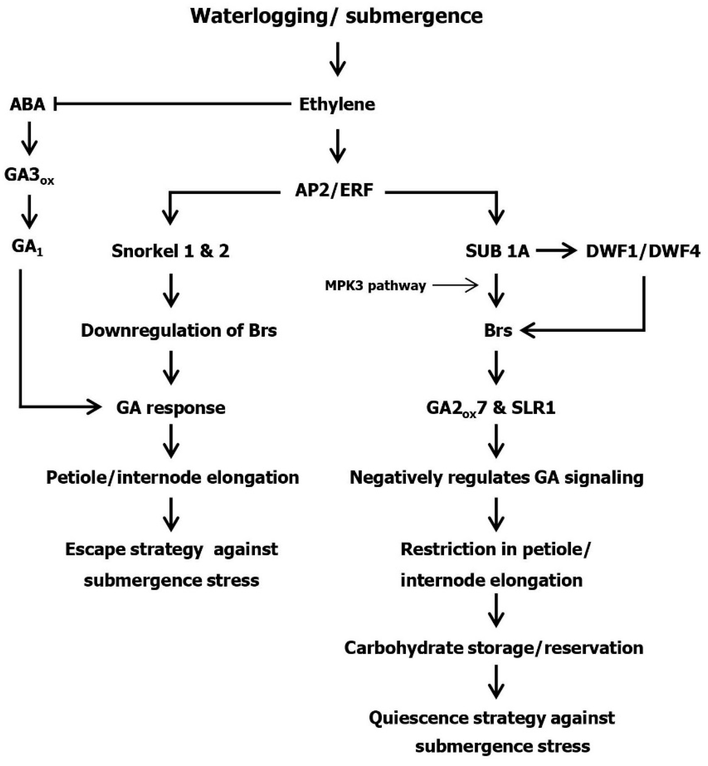 Agronomy 09 00043 g001 Agronomy 09 00043 g001