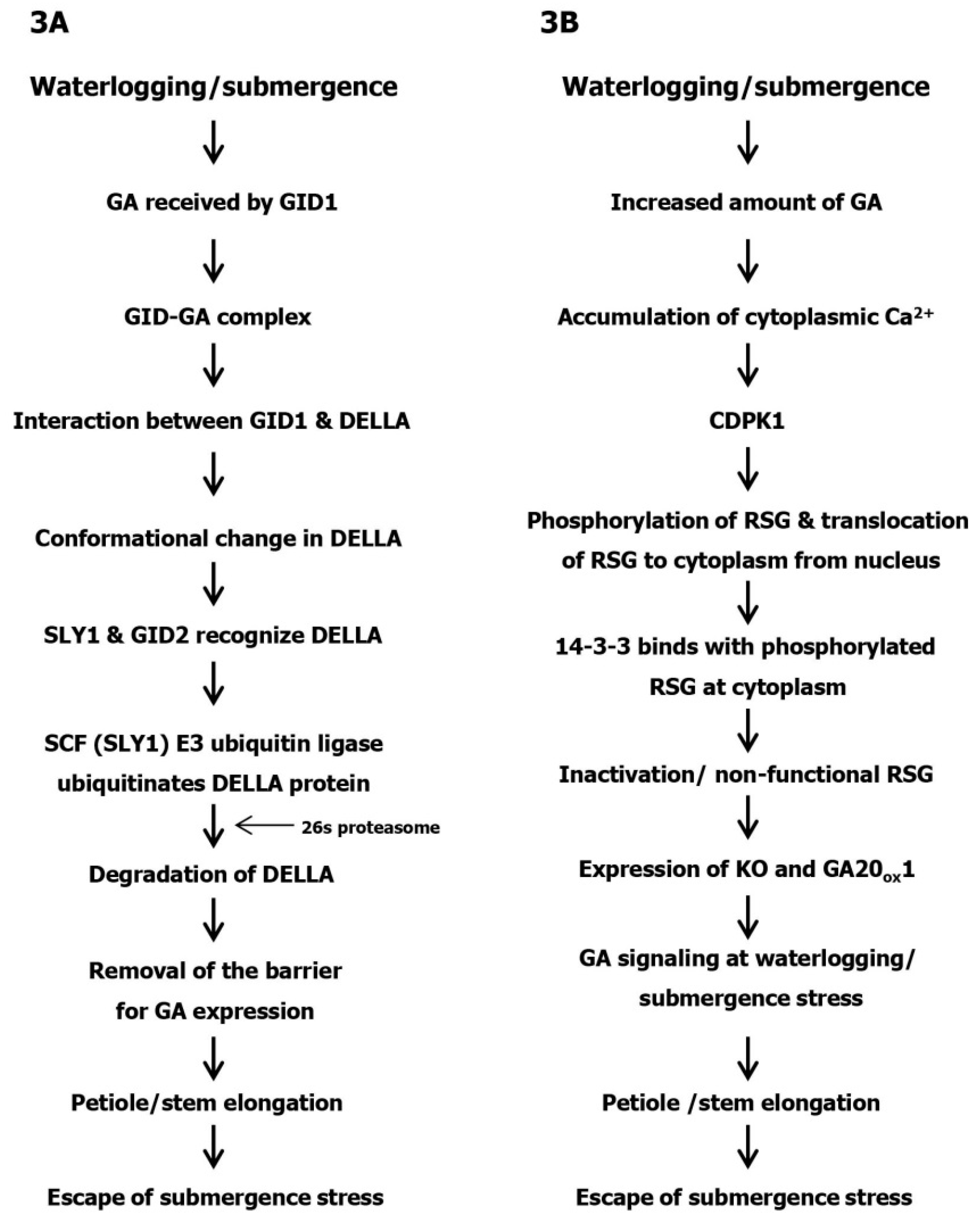 Agronomy 09 00043 g003 Agronomy 09 00043 g003