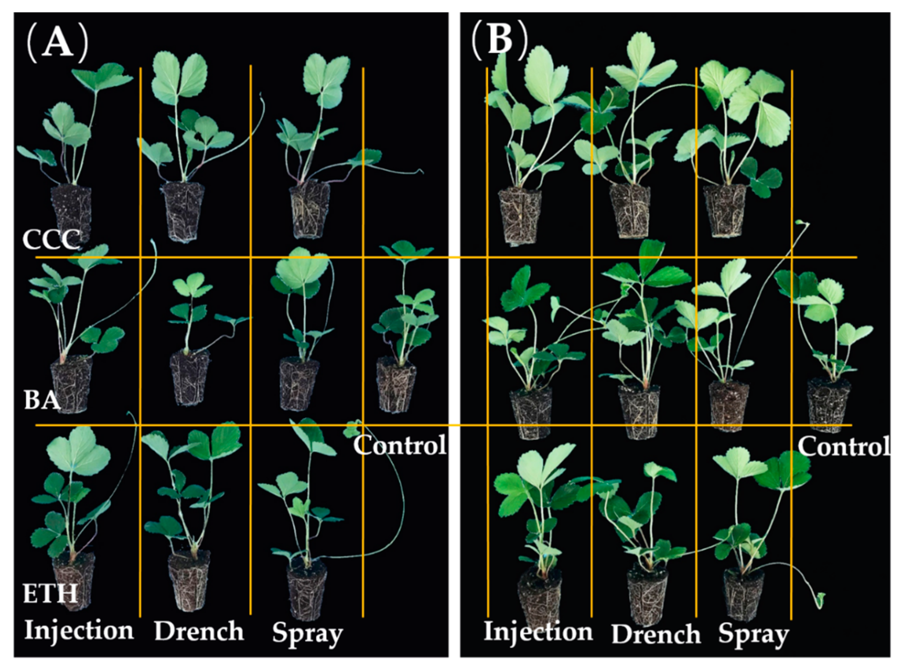 Agronomy 09 00059 g004