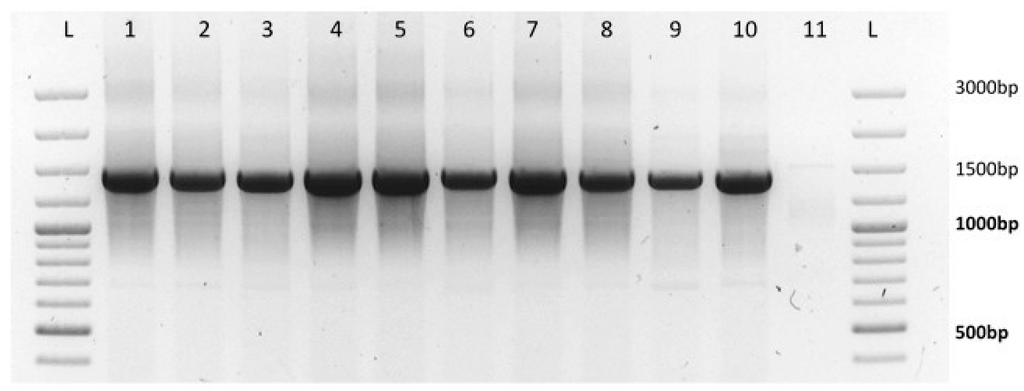 Agronomy 09 00075 g002 550