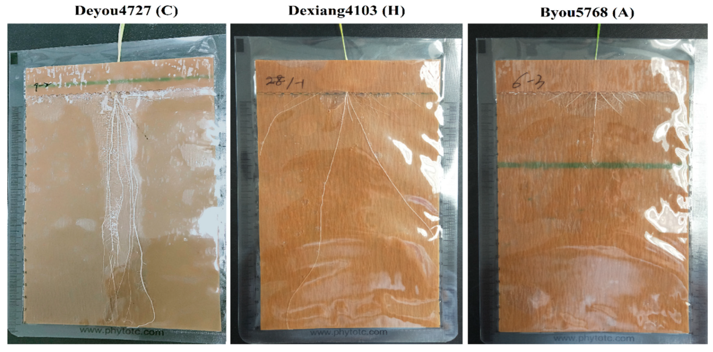 Agronomy 09 00079 g003 Agronomy 09 00079 g003