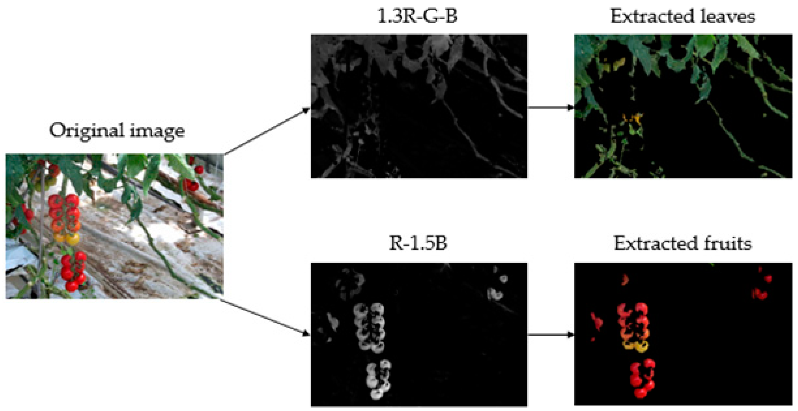 Agronomy 09 00091 g005 Agronomy 09 00091 g005