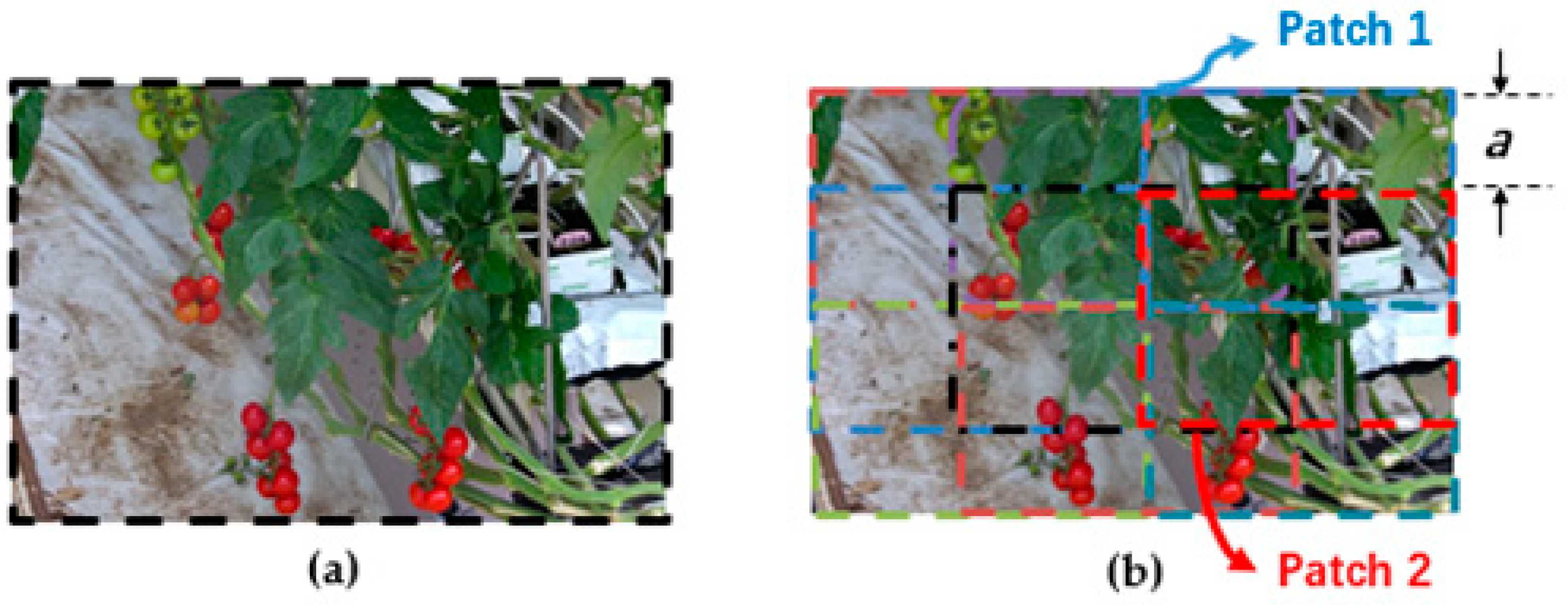 Agronomy 09 00091 g009 Agronomy 09 00091 g009