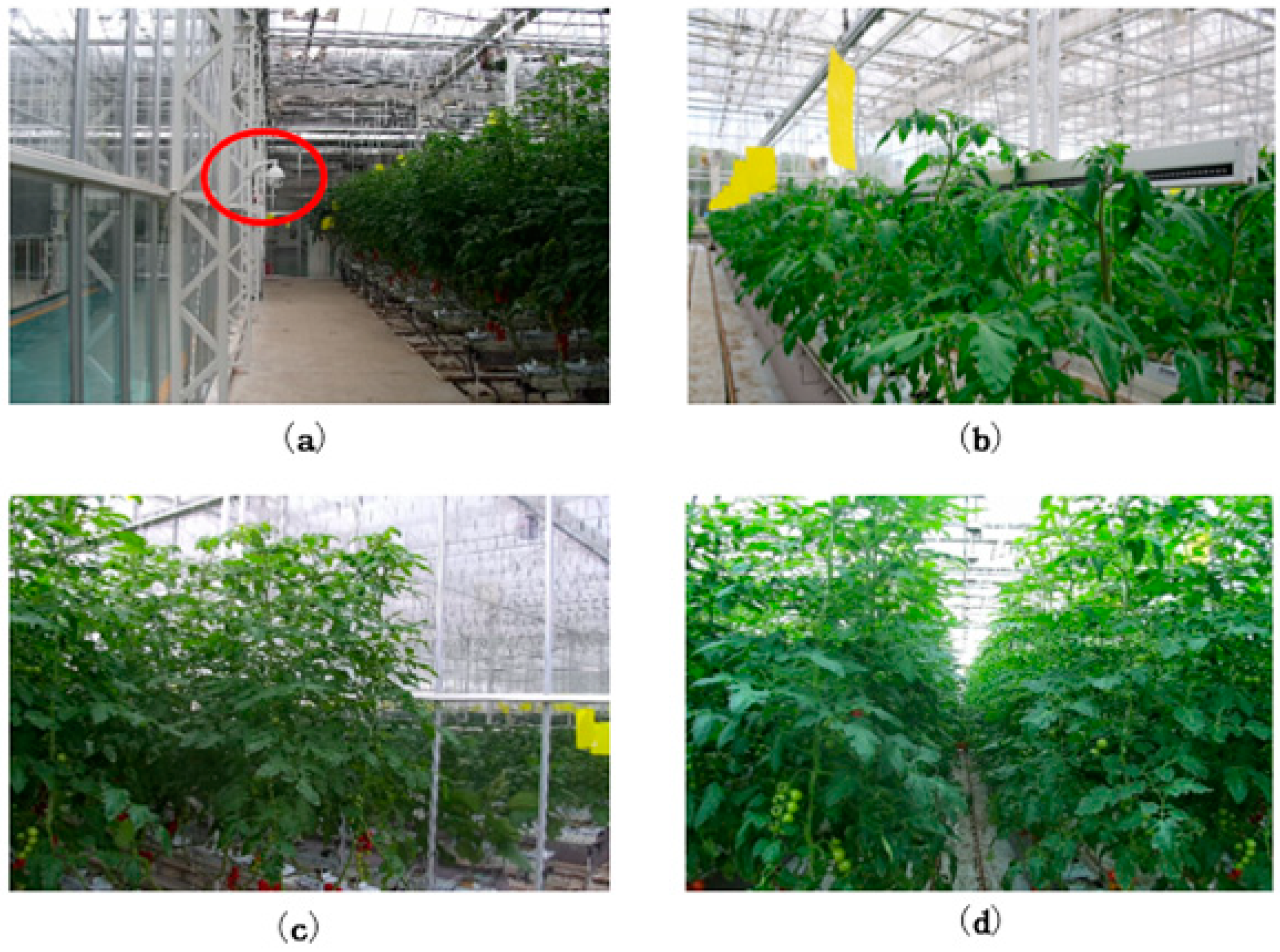 Agronomy 09 00091 g015 Agronomy 09 00091 g015