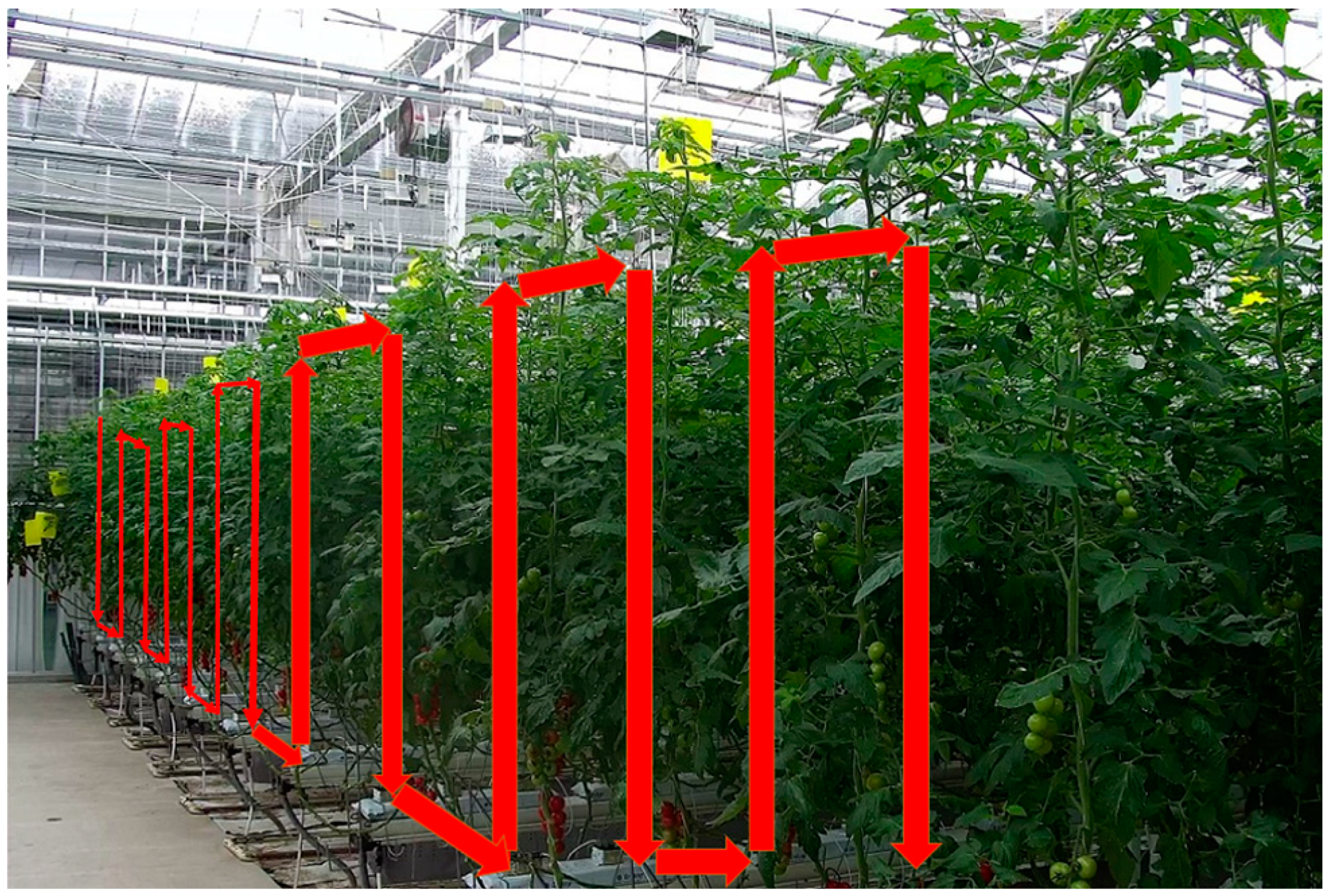 Agronomy 09 00091 g016 Agronomy 09 00091 g016