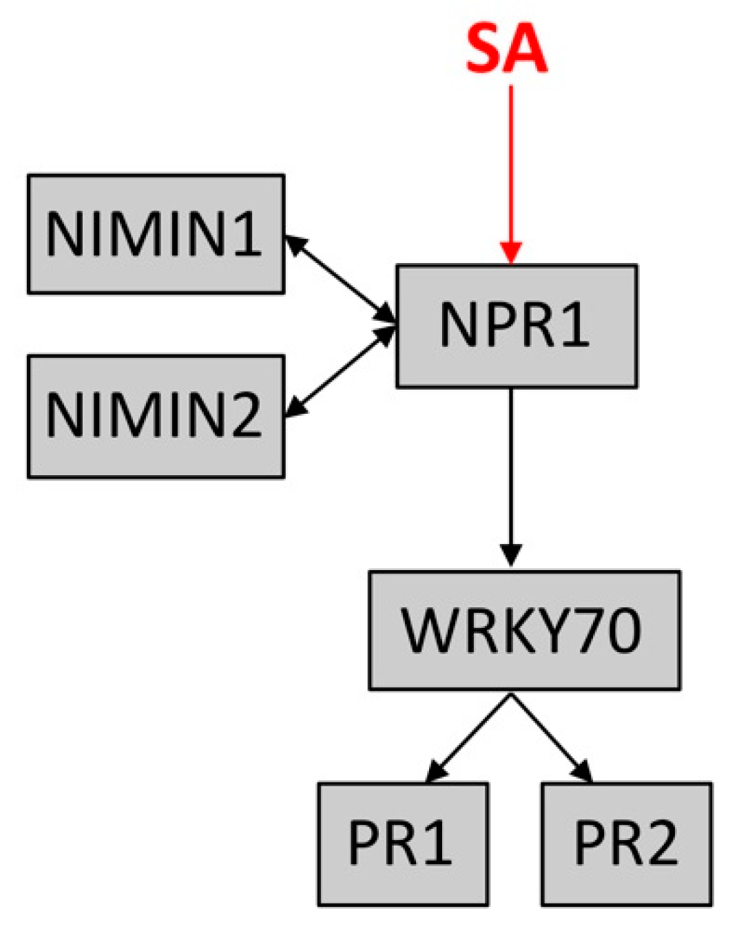 Agronomy 09 00092 g002