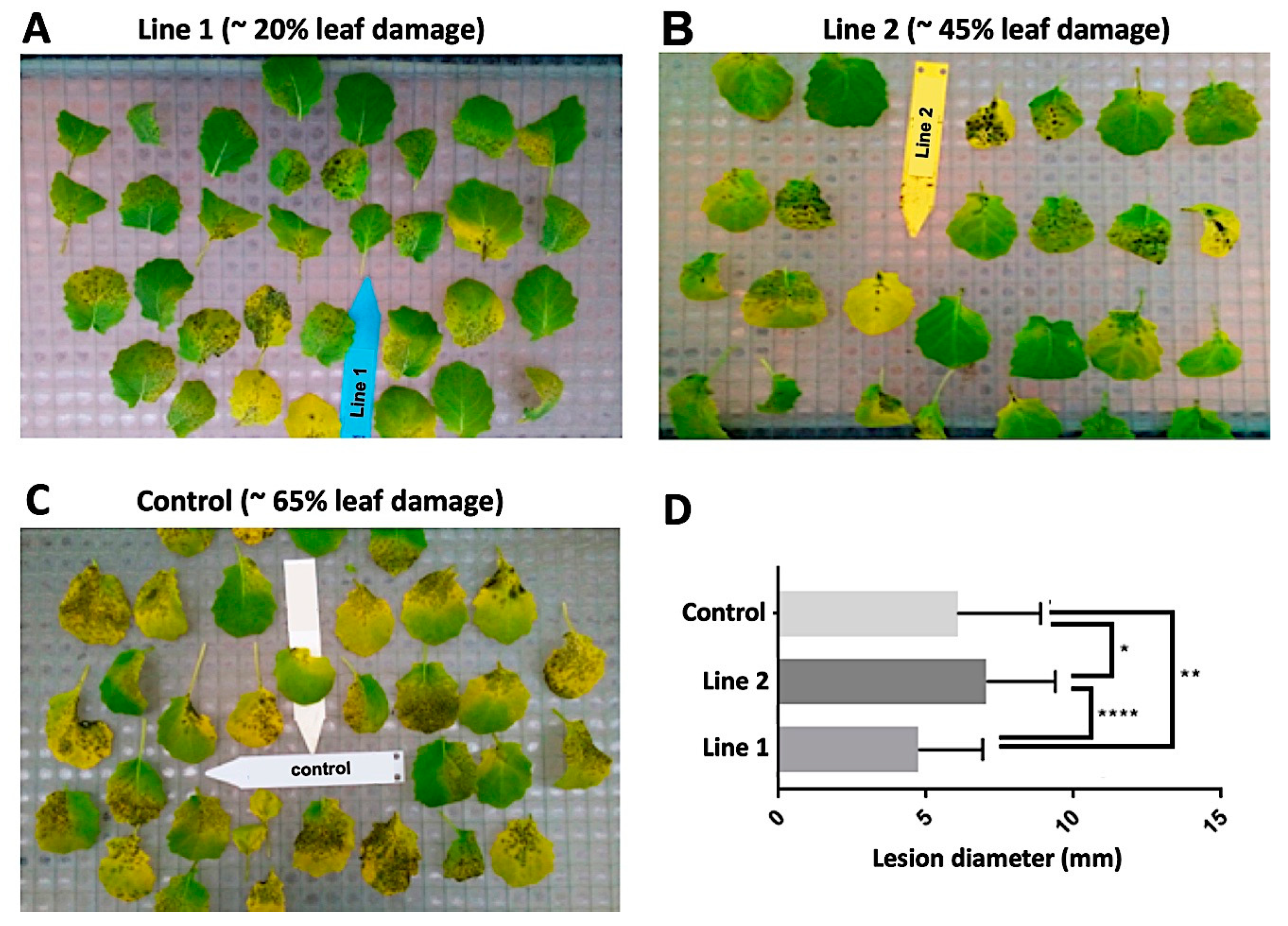 Agronomy 09 00092 g004