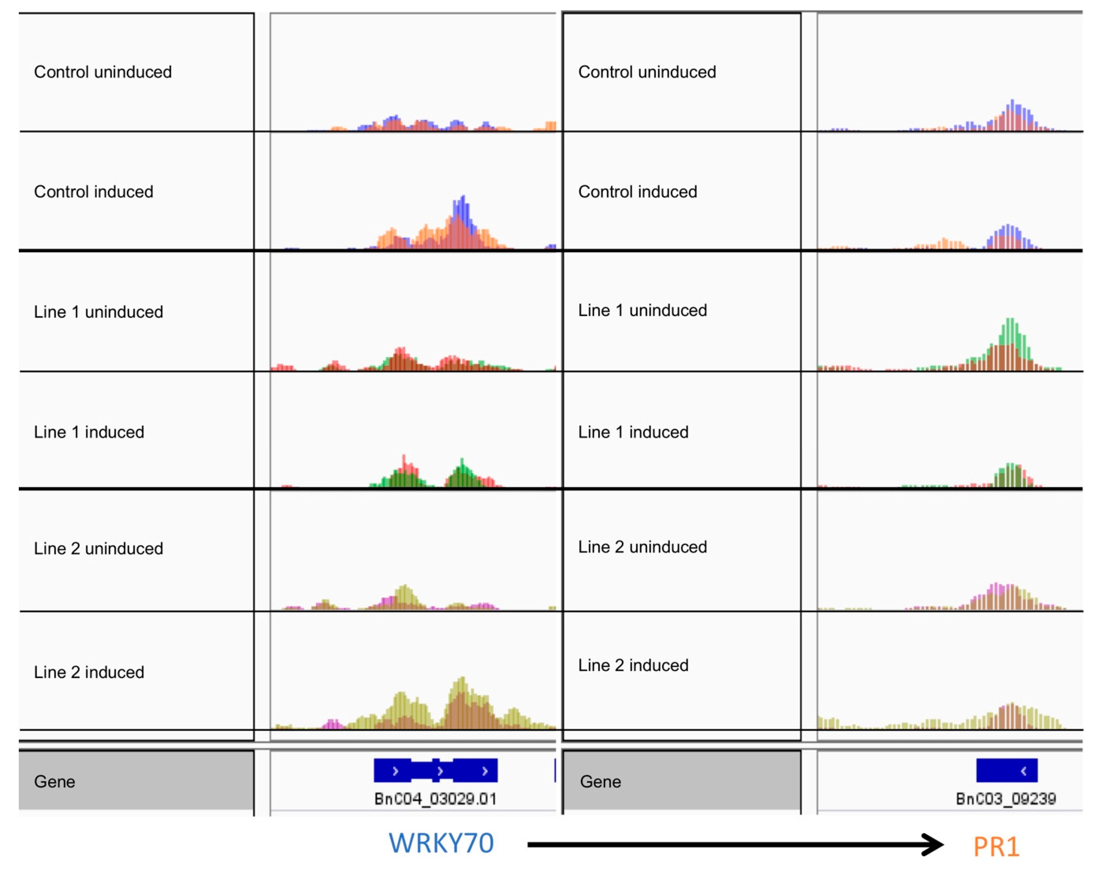 Agronomy 09 00092 g007