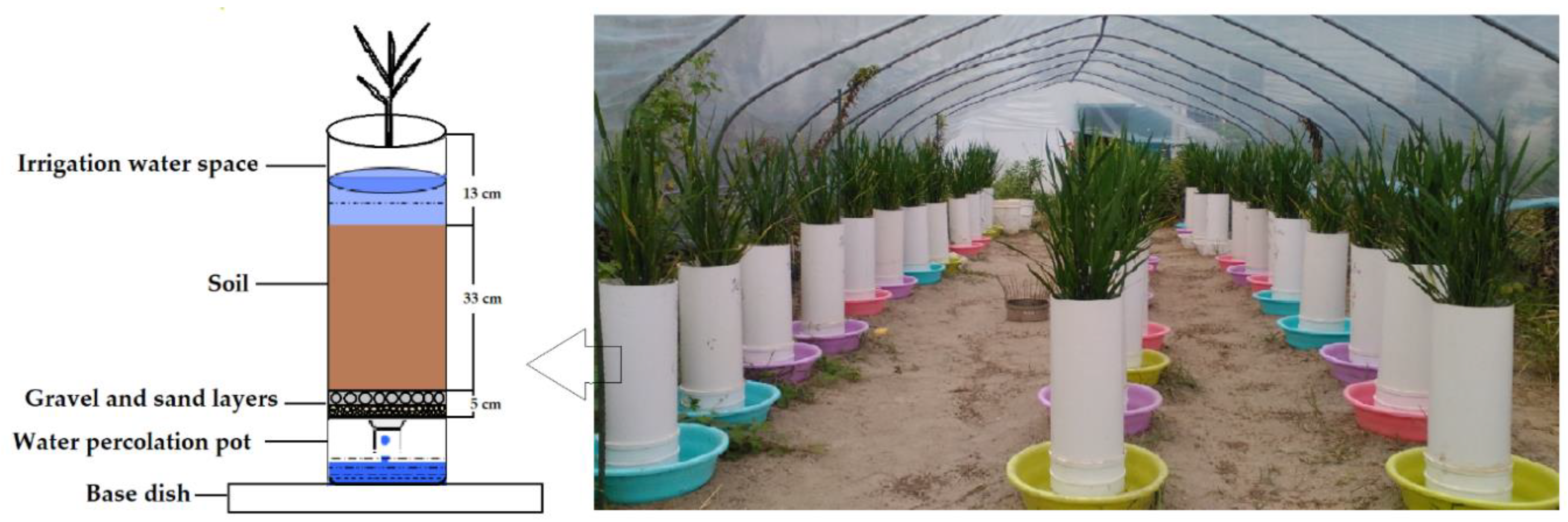 Agronomy 09 00100 g001