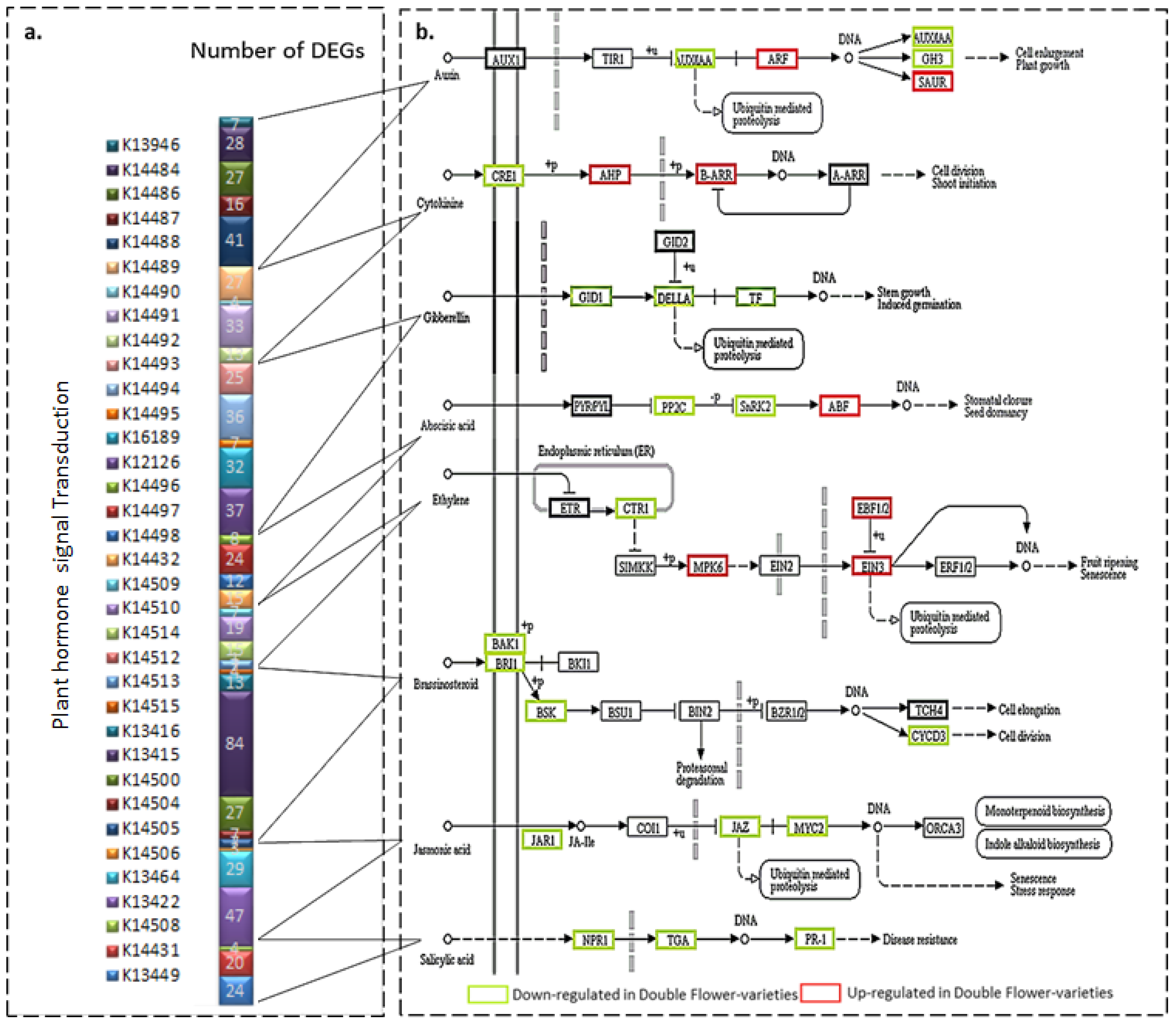 Agronomy 09 00112 g007 Agronomy 09 00112 g007