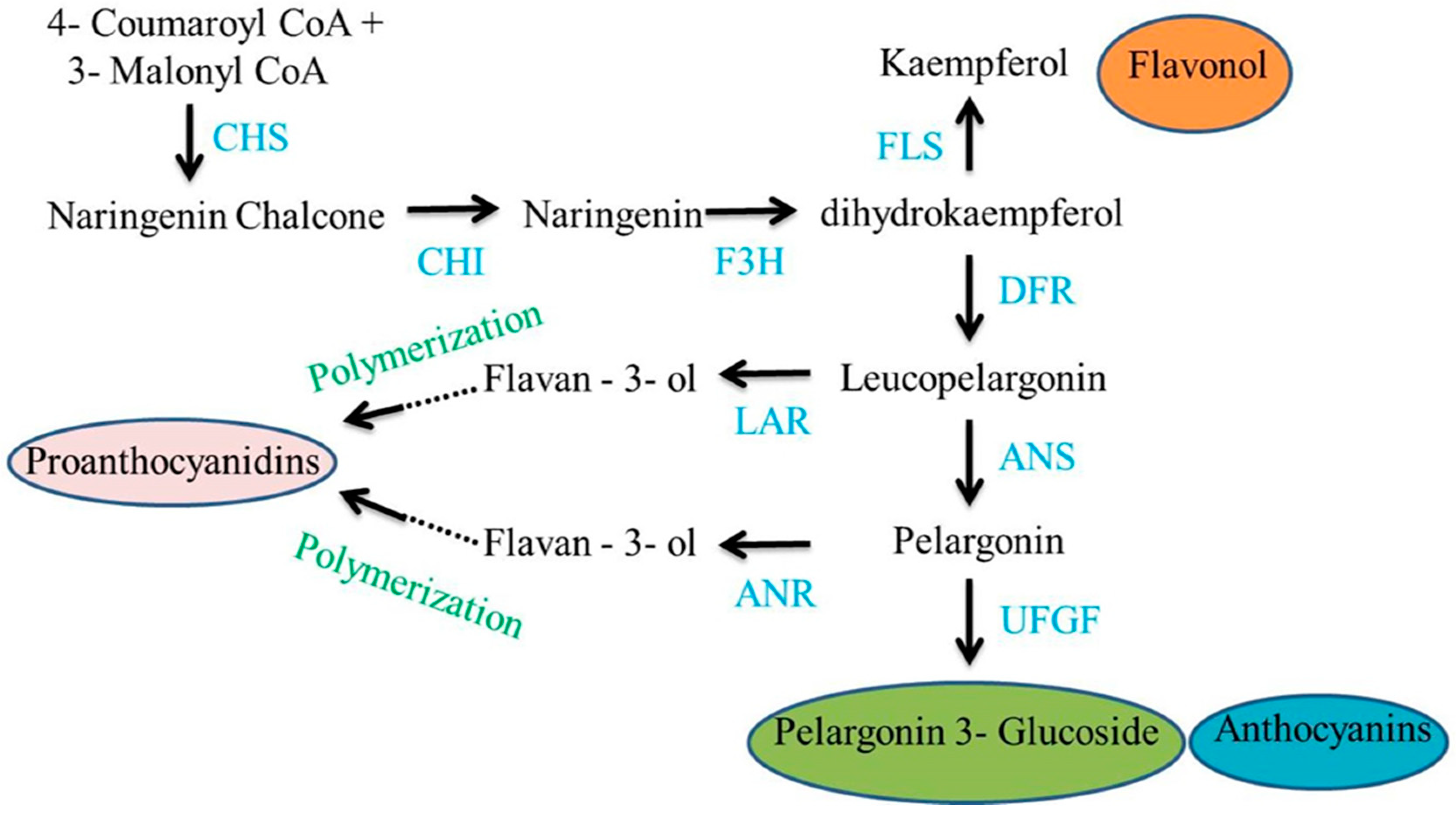 Agronomy 09 00117 g001