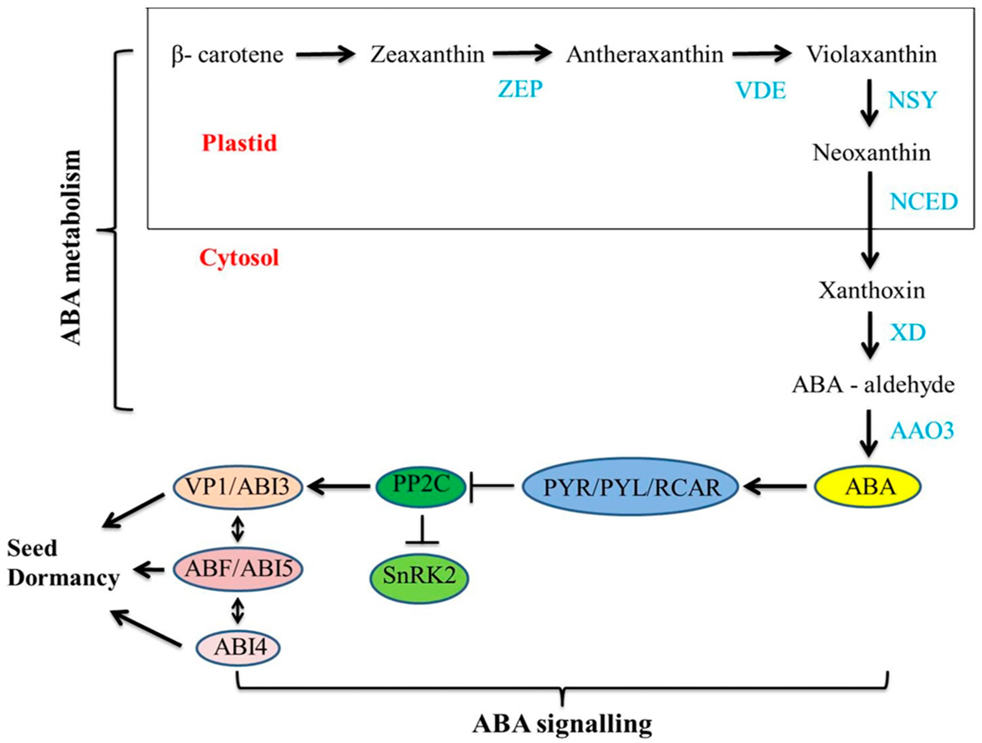 Agronomy 09 00117 g002