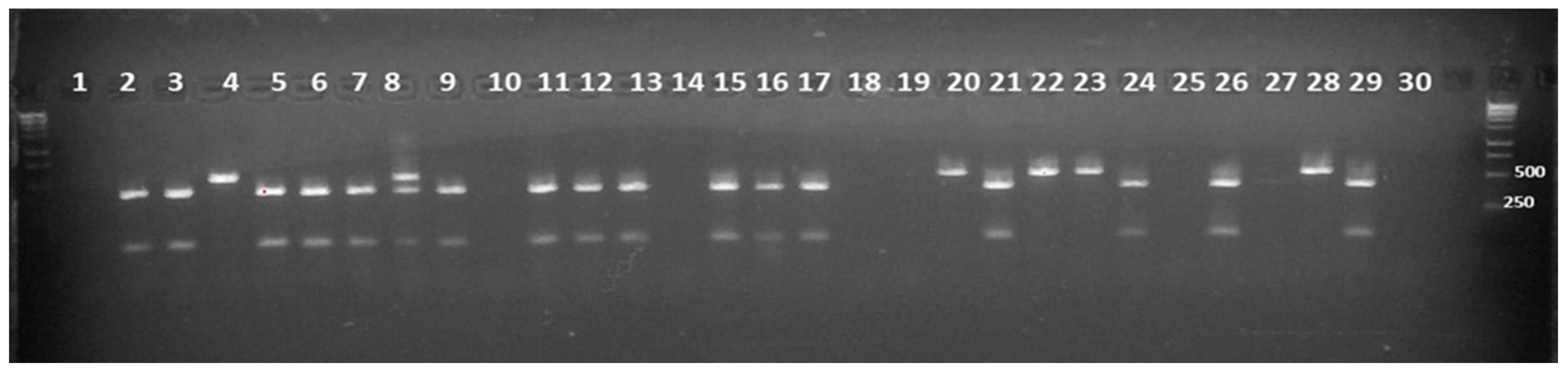 Agronomy 09 00119 g003 Agronomy 09 00119 g003