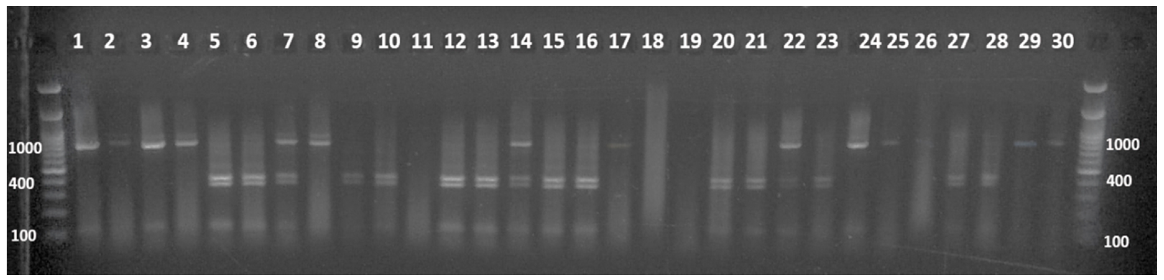 Agronomy 09 00119 g004 Agronomy 09 00119 g004