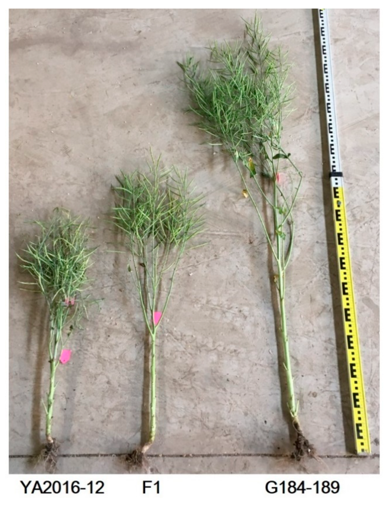 Agronomy 09 00129 g001