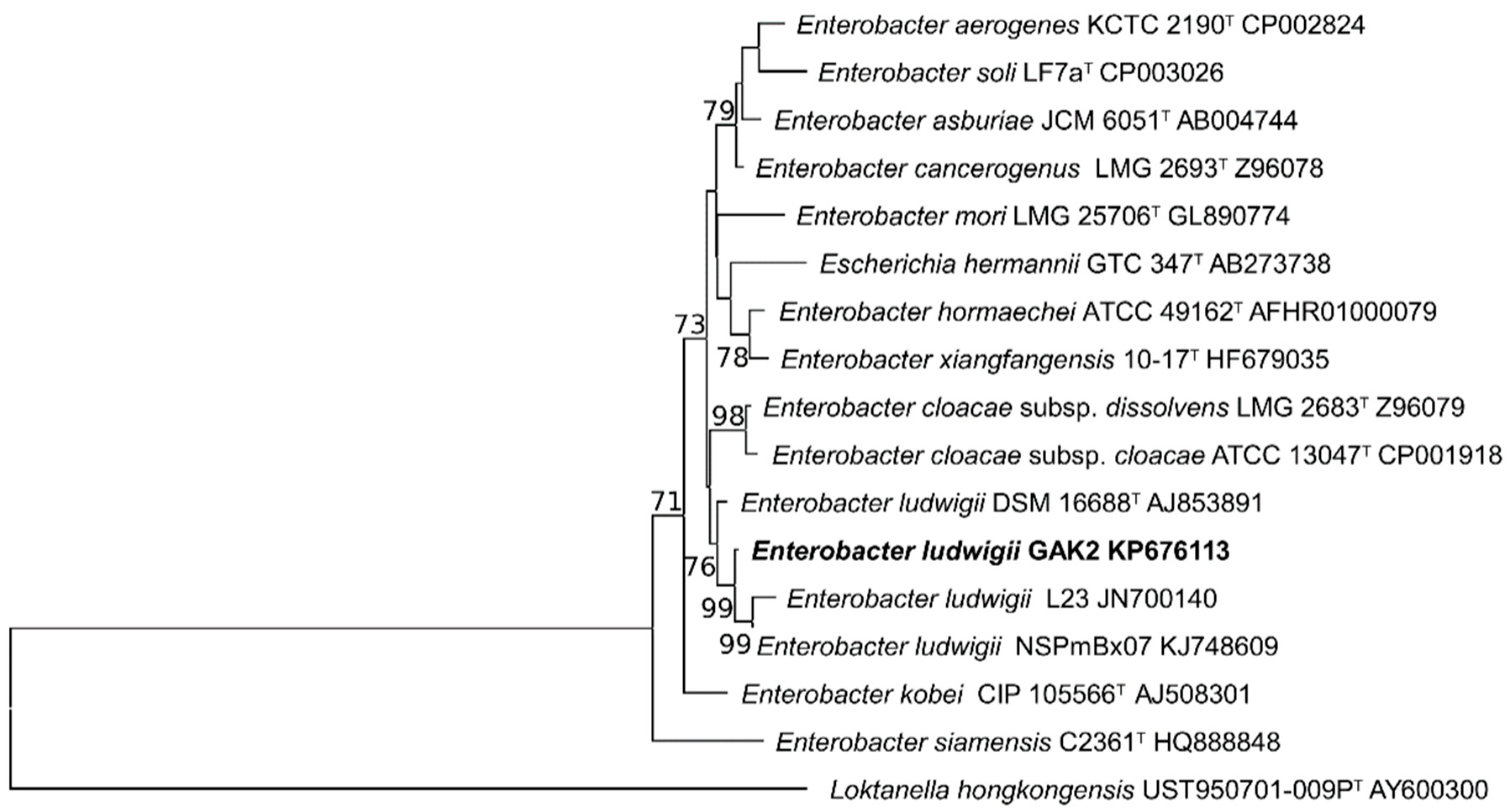 Agronomy 09 00144 g002