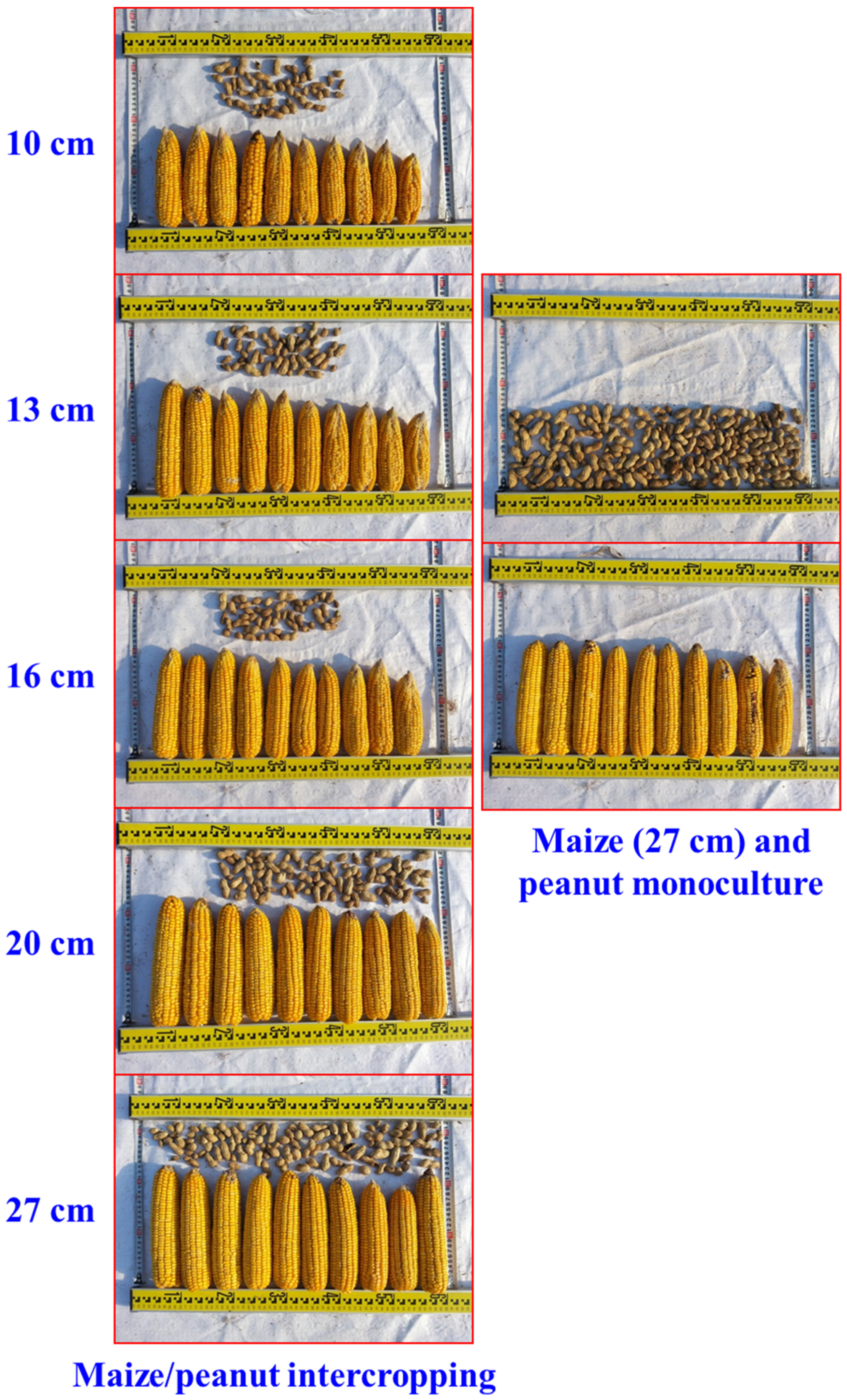 Agronomy 09 00150 g002