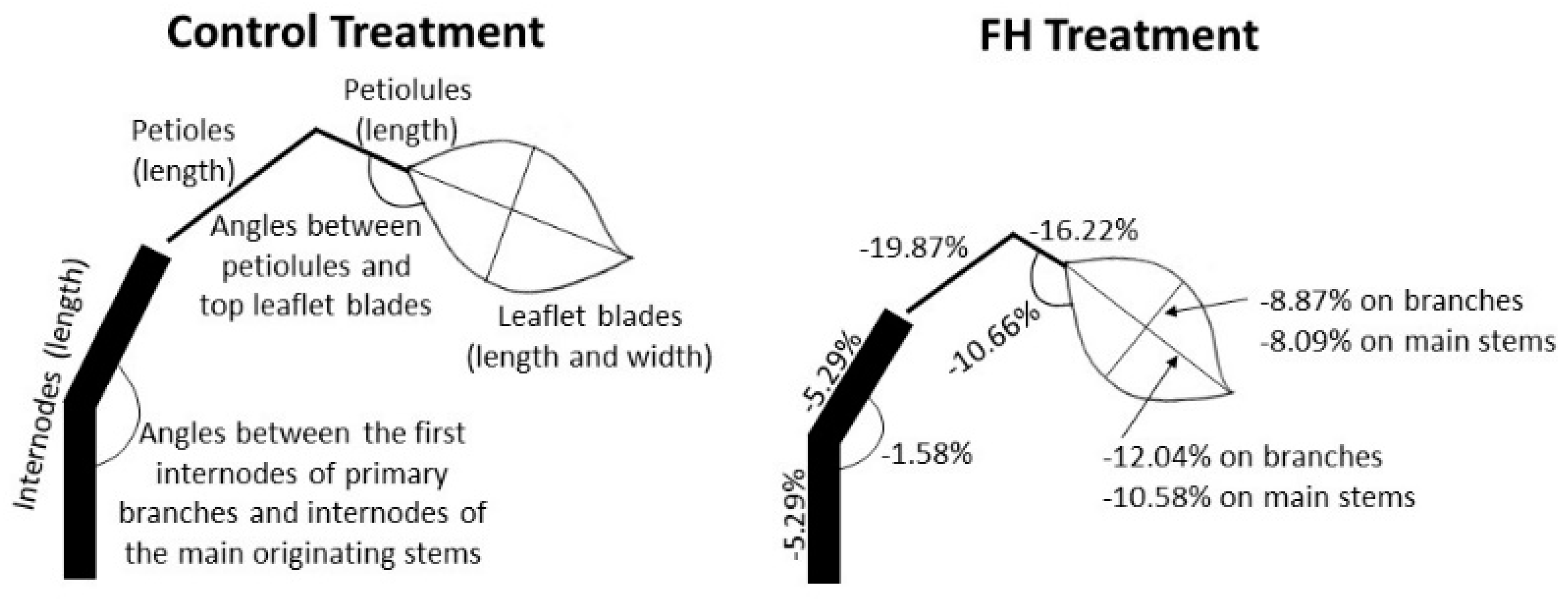 Agronomy 09 00160 g008
