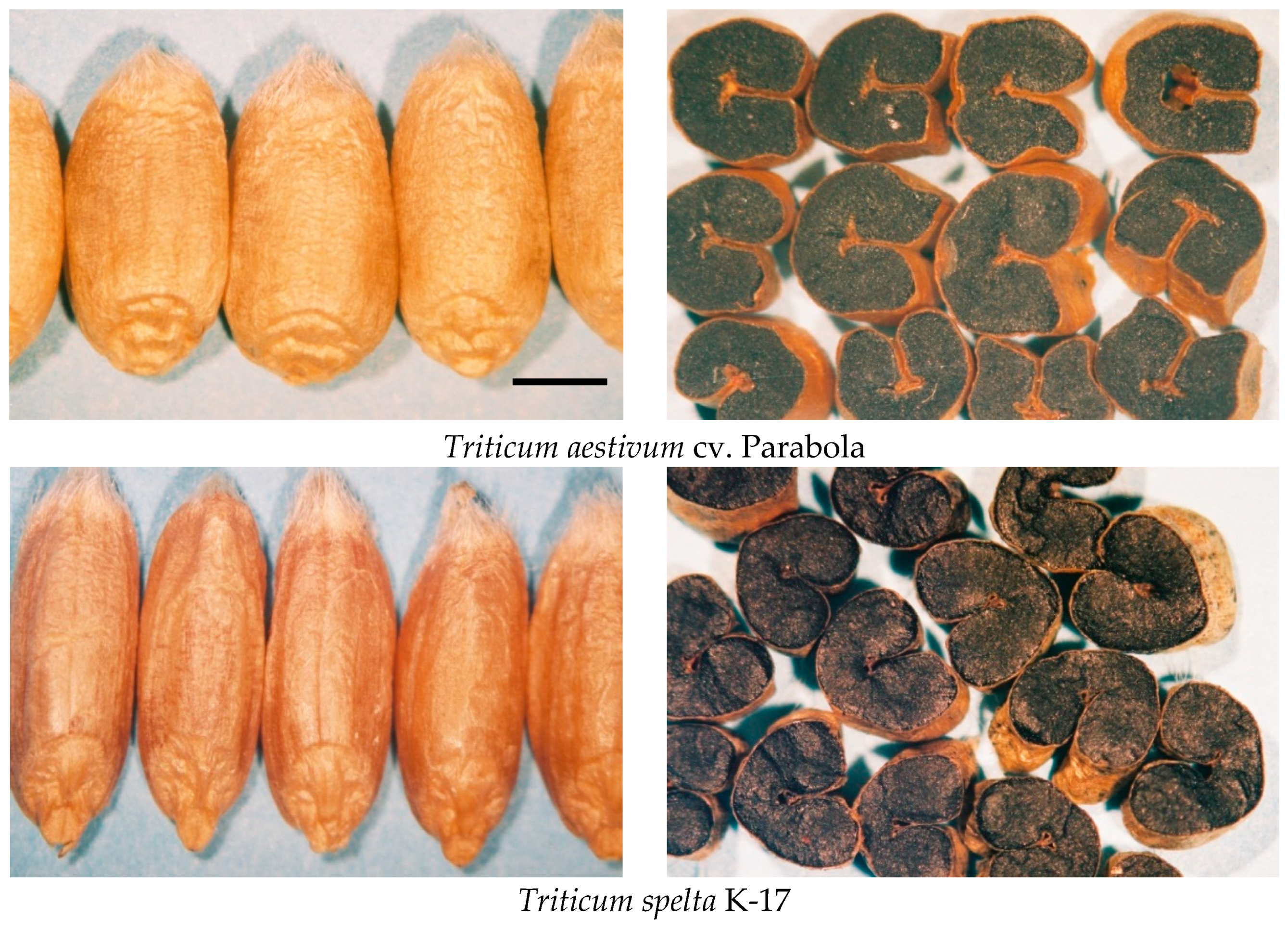 Agronomy 09 00167 g001 Agronomy 09 00167 g001