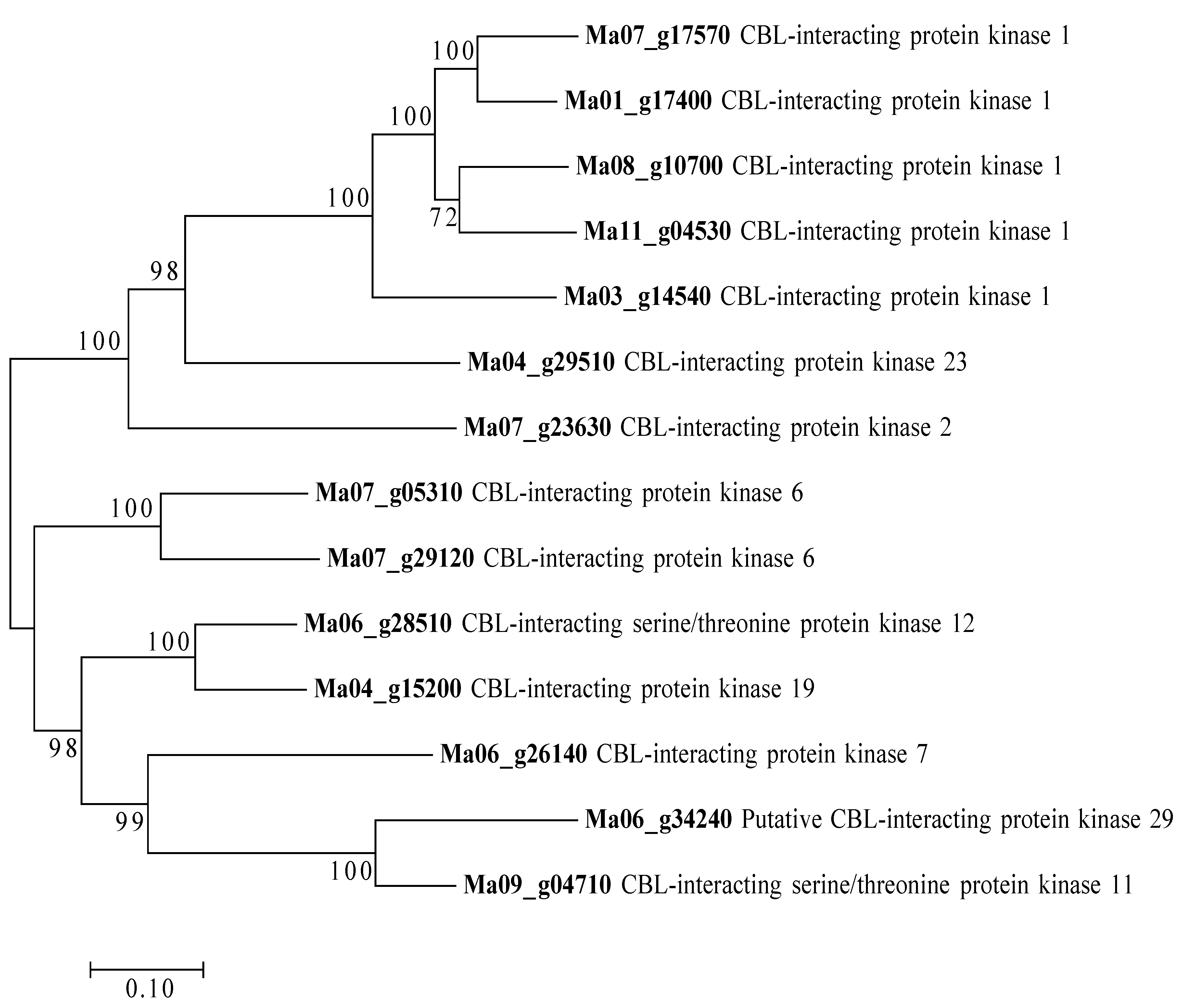 Agronomy 09 00169 g009 Agronomy 09 00169 g009