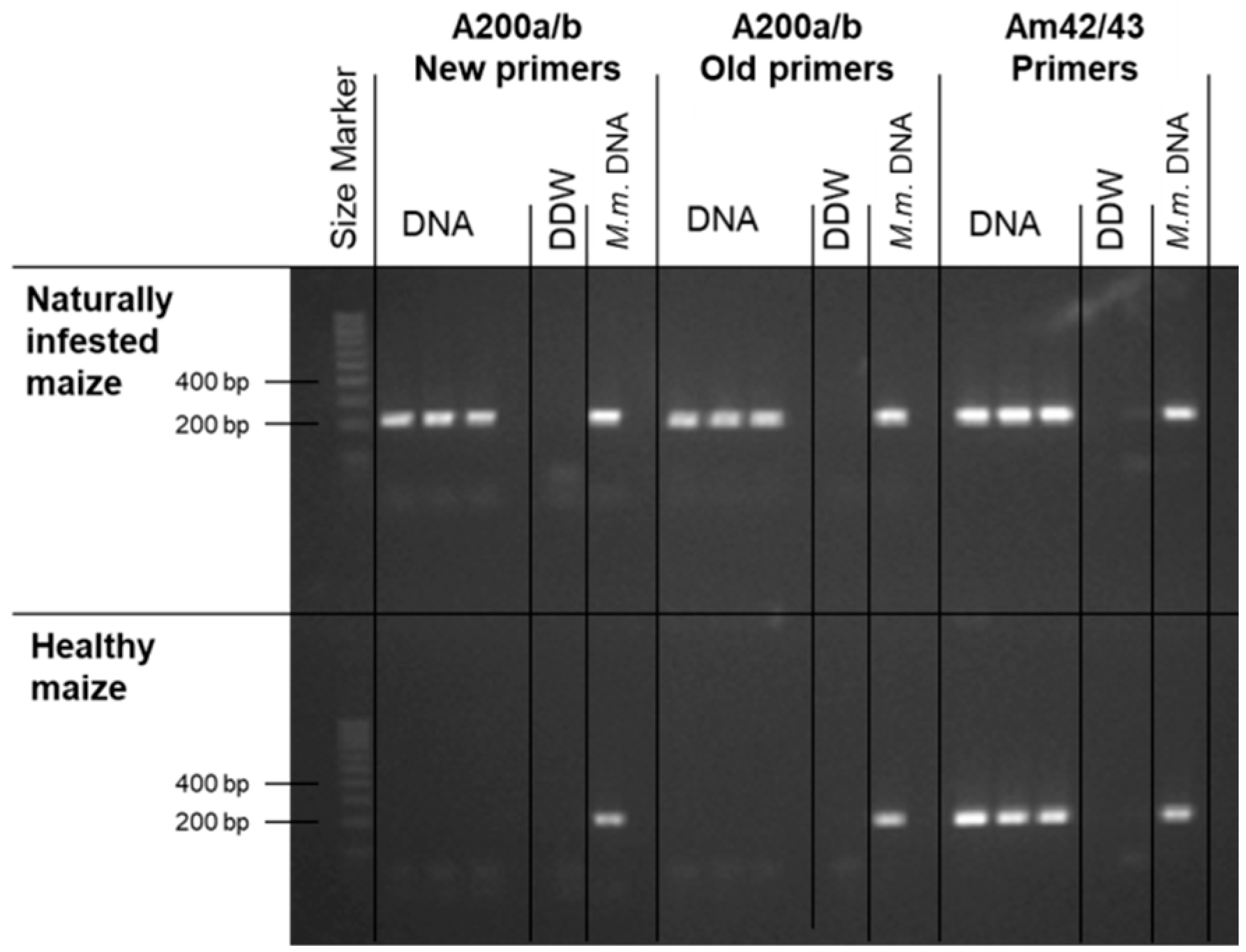Agronomy 09 00181 g003